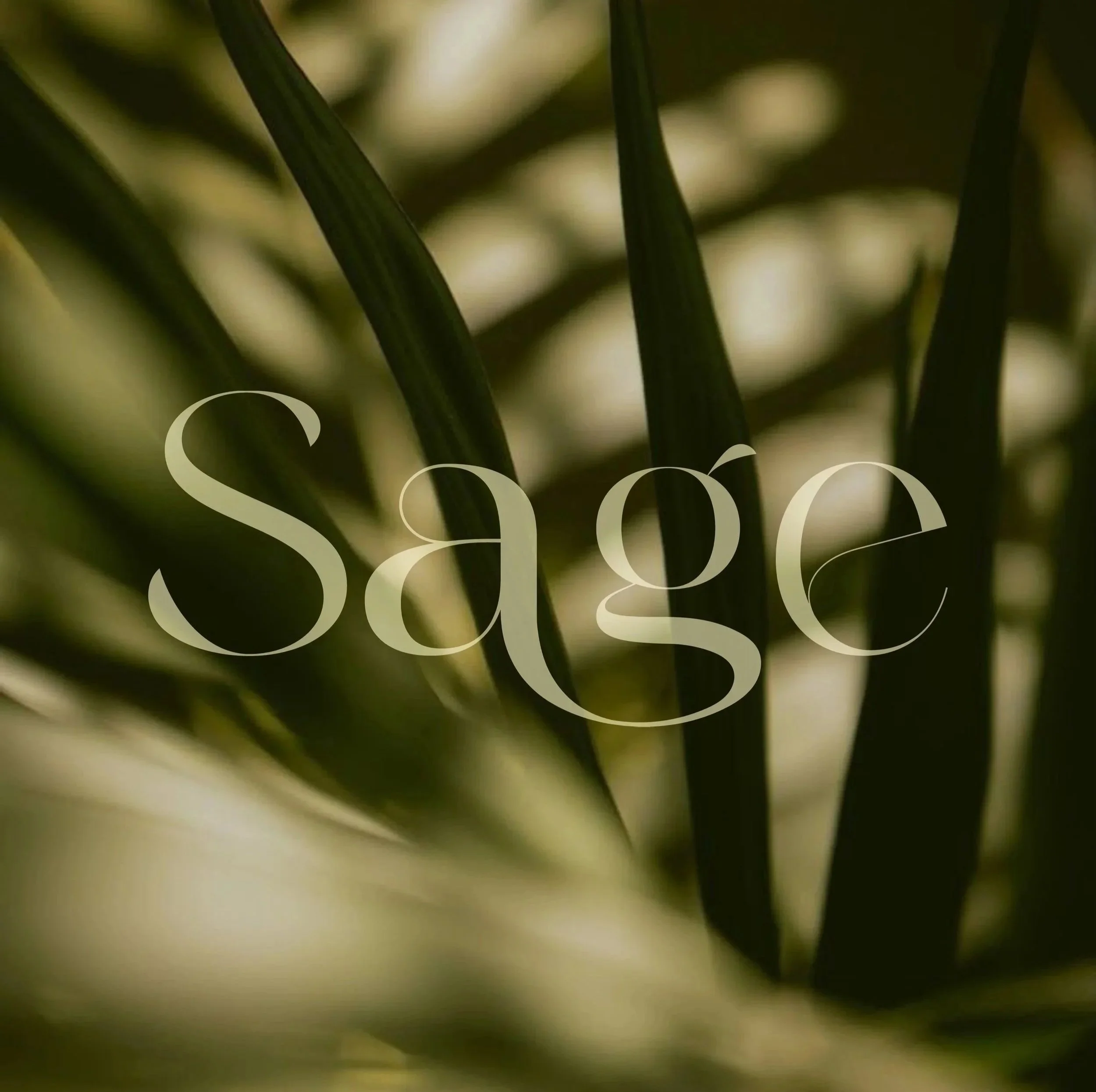 Sage%2BLogo.jpg