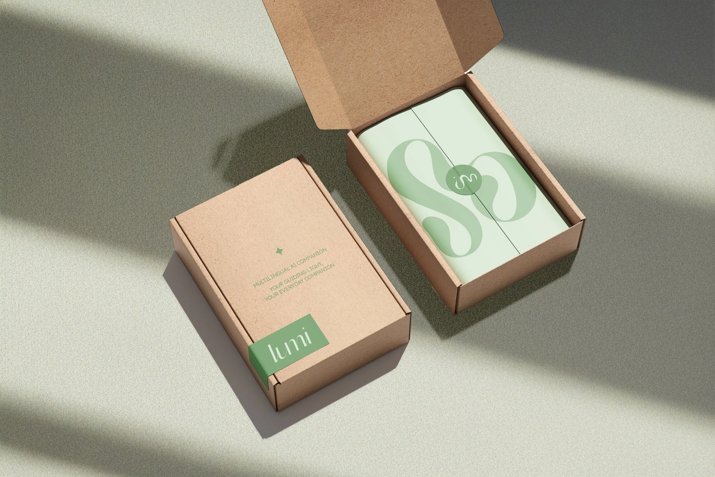 Lumi Box Packaging_Mockup-02.jpg