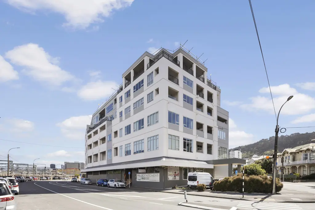 Palm Grove and Stadium Apartments, Wellington, New Zealand | Peter Lalas was the cladding expert for the body corporate for this project – and unfortunate example of leaky building syndrome. Clad in a single skin cladding, the cladding and interfaces