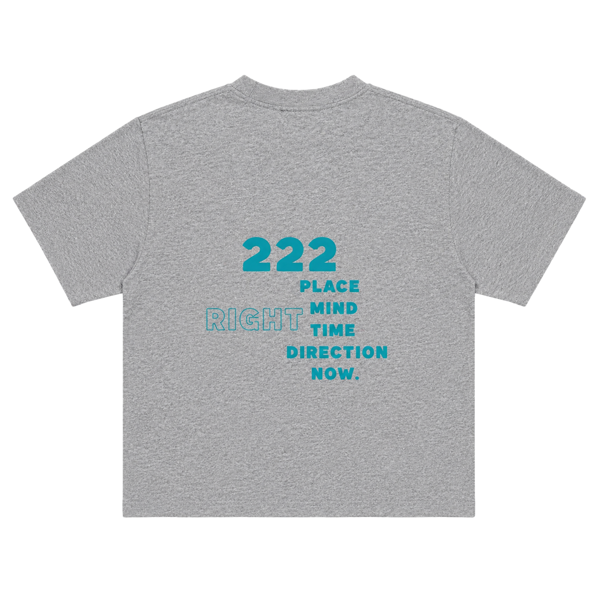 222 grey back - Standard.png