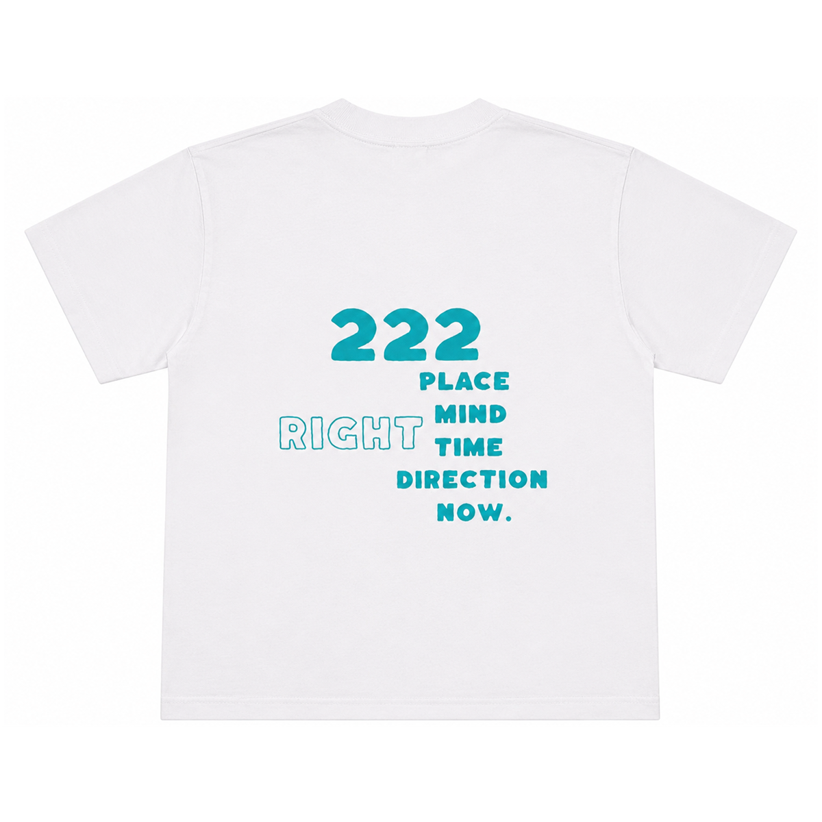 222 white back - Standard.png
