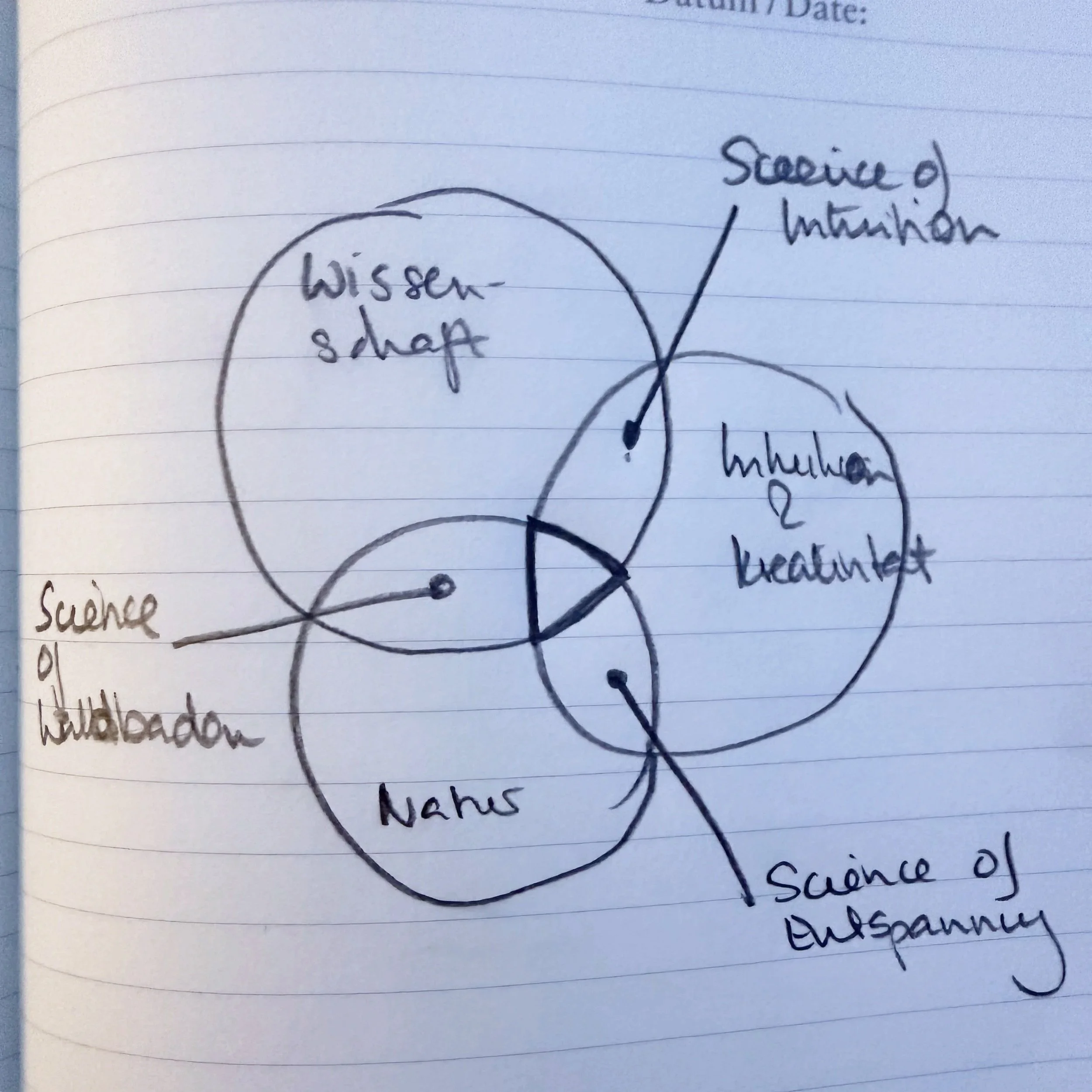 Handgezeichnetes Diagramm mit drei überlappenden Kreisen, die unterschiedliche Wissenschaftsbereiche darstellen: Wissenschaft der Wahrnehmung, Wissenschaft der Motivation, Wissenschaft der Bedeutung. Es gibt Pfeile, die zwischen den Kreisen zeigen, mit Beschriftungen in Englisch und Deutsch.
