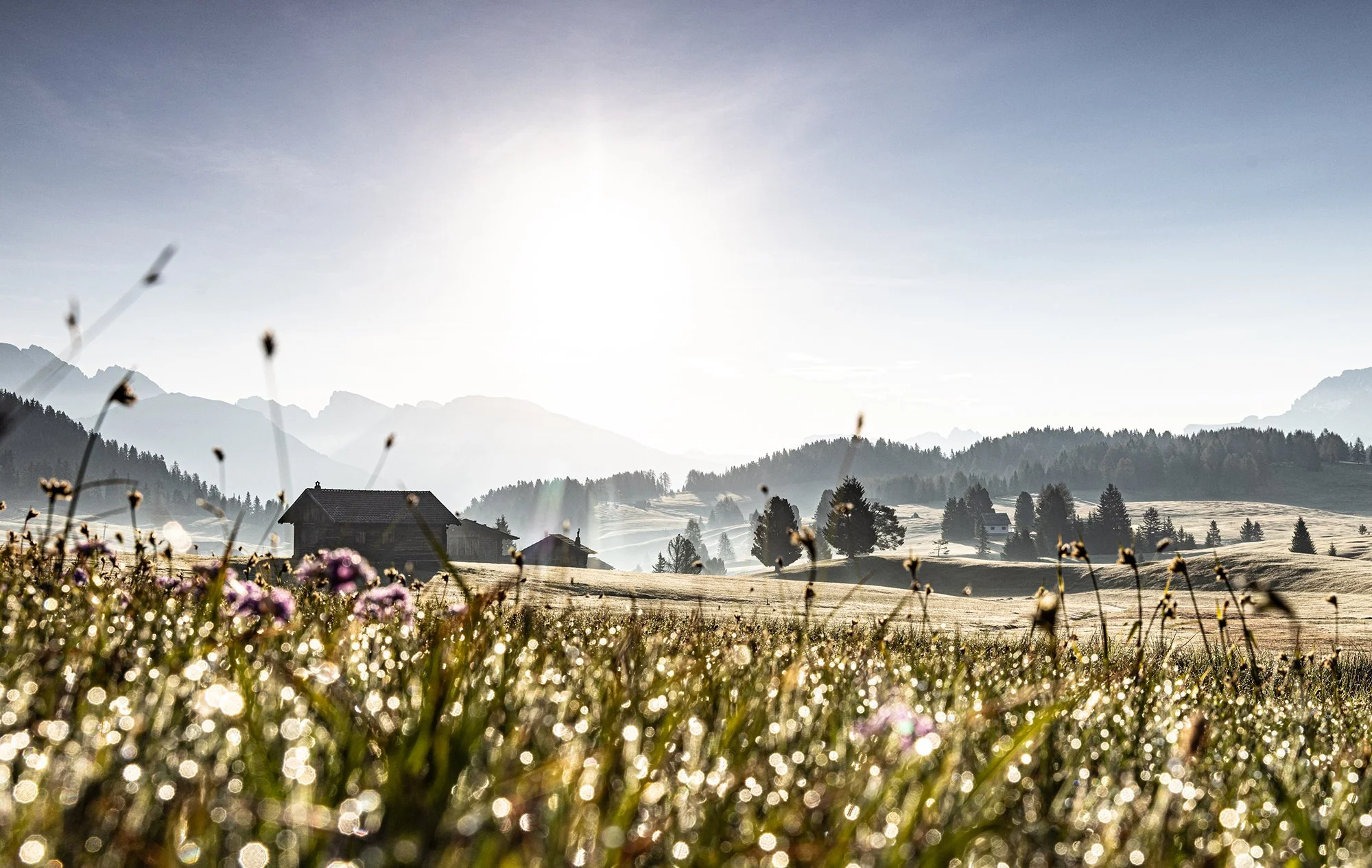 Landschaft mit Wiesen, Bergen und Häusern bei Sonnenaufgang oder Sonnenuntergang.