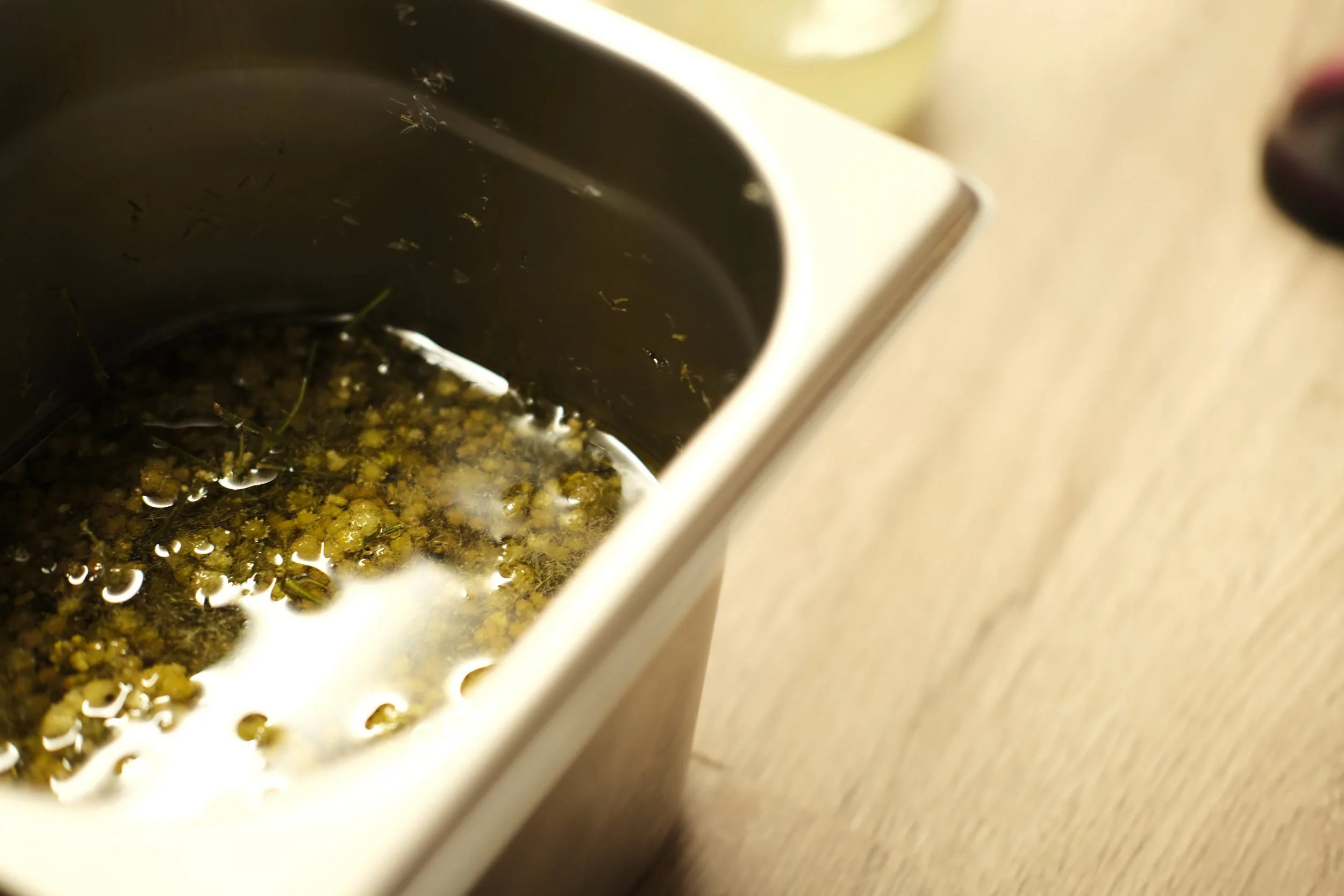 Immortelle en décantation huileuse