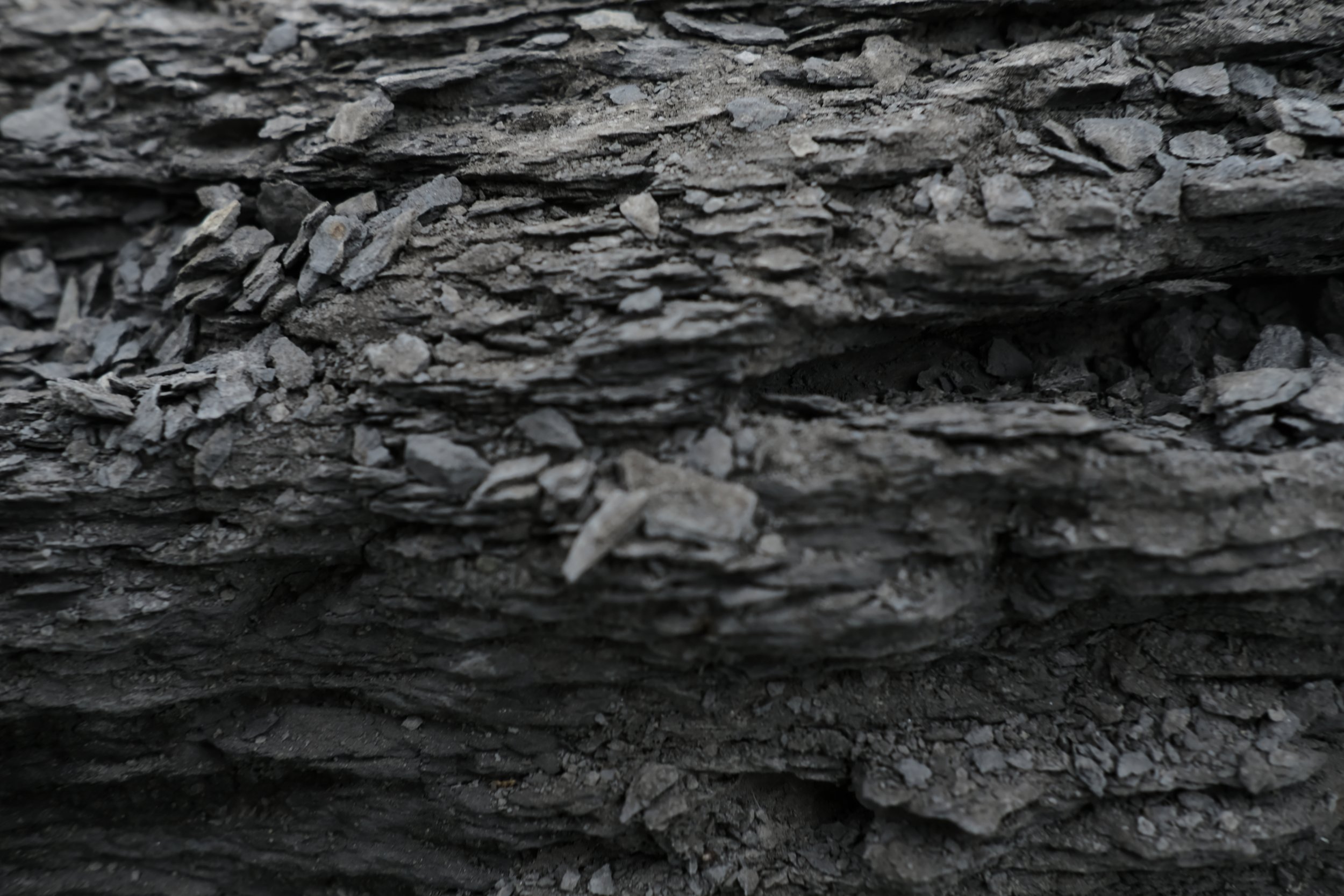Détail des sols, les Terres Noires de Digne, sur le chemin du lieu de distillation d'ORARÉ