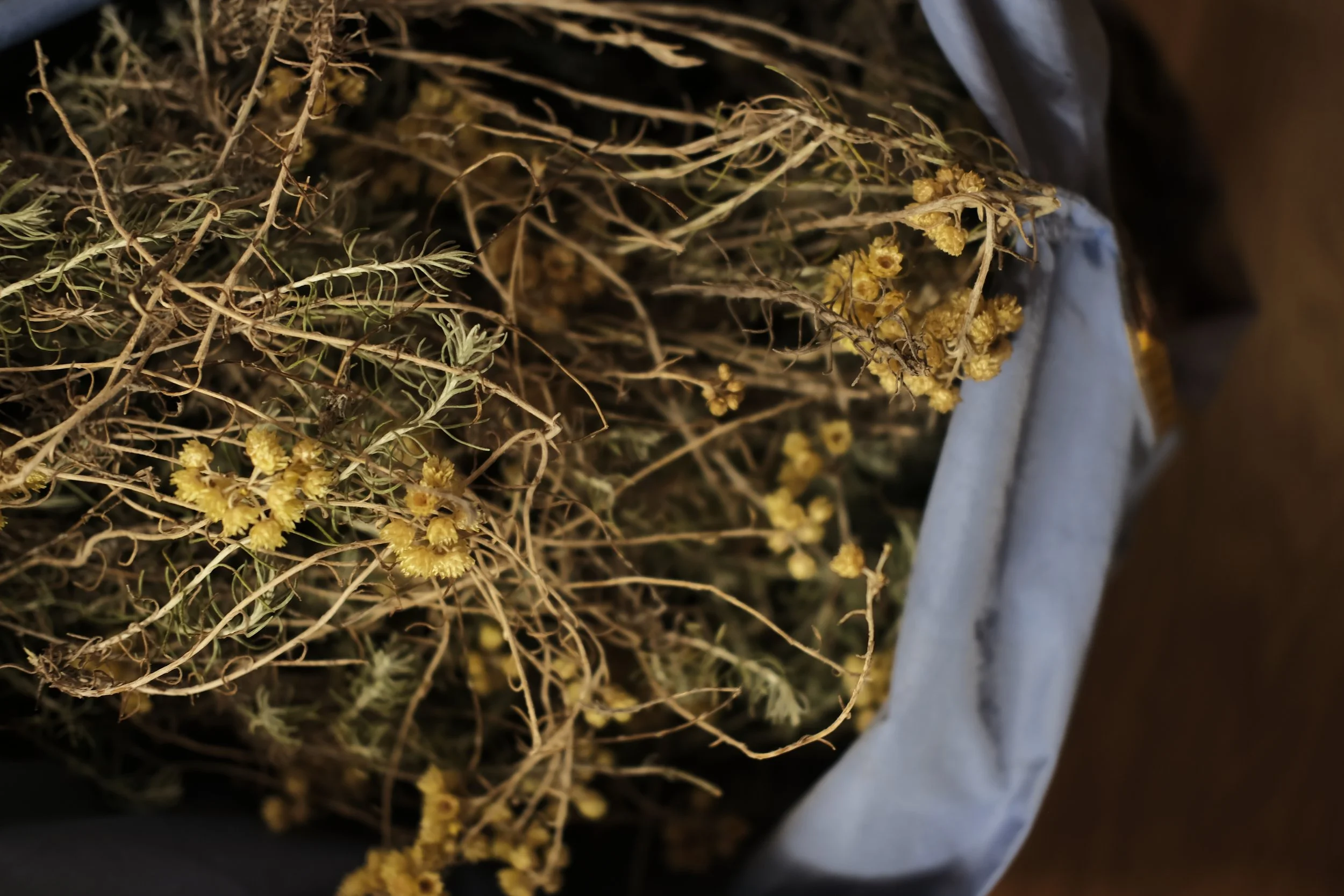 Mélange de plantes séchées avec des petites fleurs jaunes dans un bol blanc.