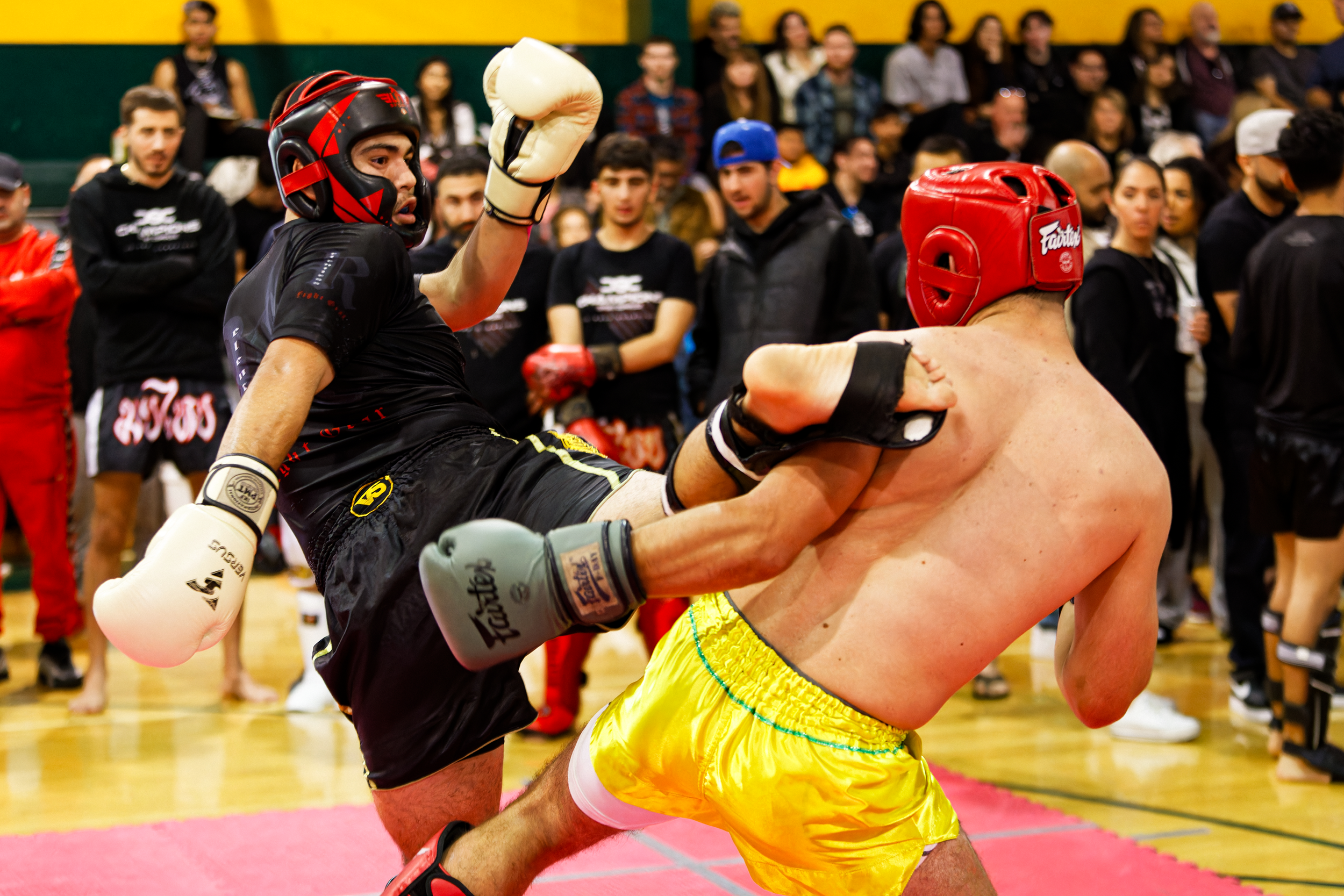 IMG_4437_DxO.png