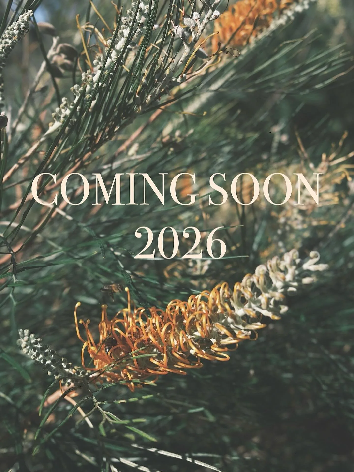 2026 here we come 🍯 🐝