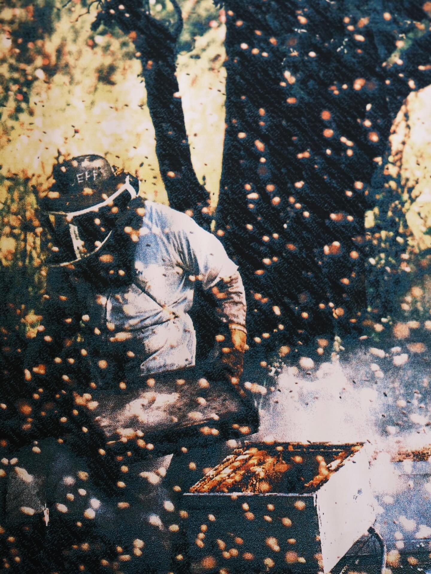 Our Grandad Horst with his hives in Karridale when it was known as Blackwood Meadery. Since then we have relocated to Augusta under the name Blackwood Mead Co. We are excited to open our doors to you later this year✨