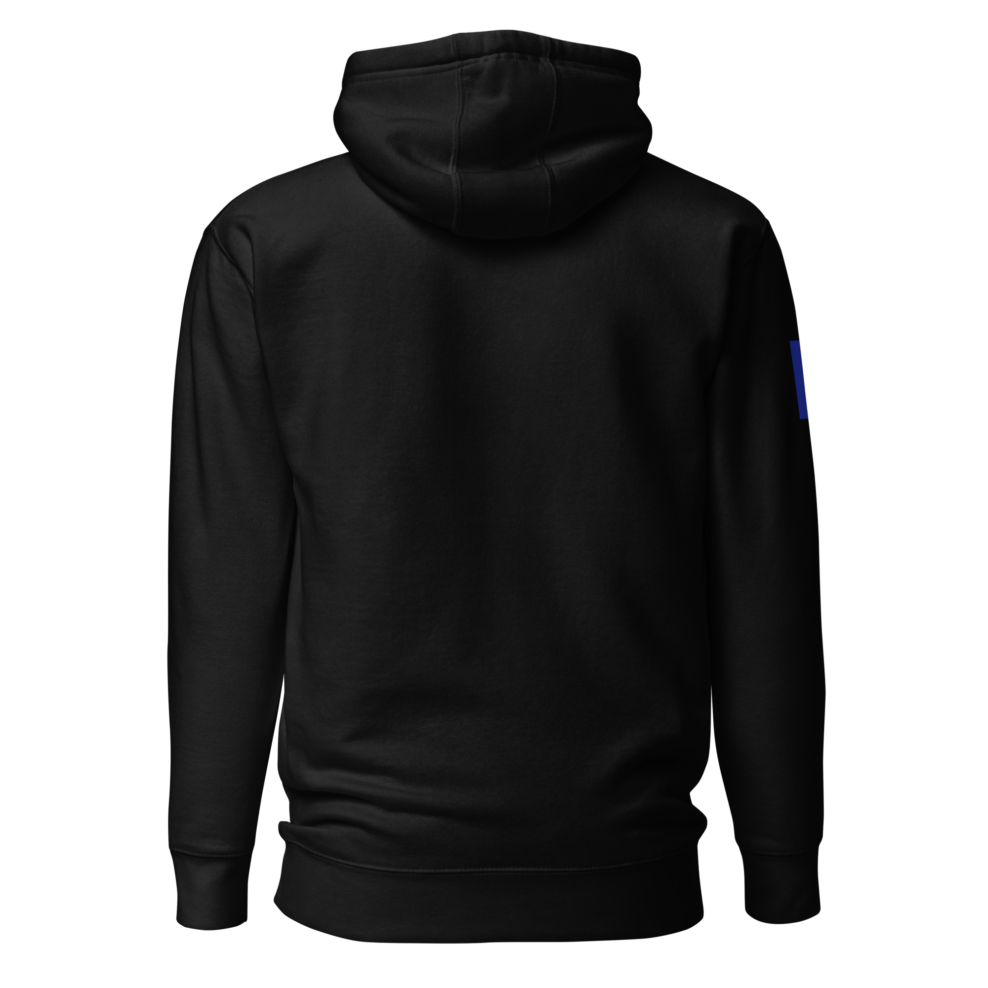 CPH KM Hoodie back.png