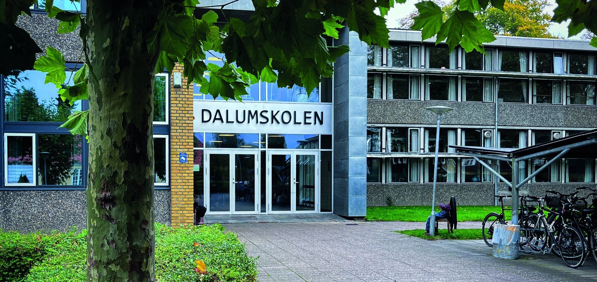 DALUM SKOLE