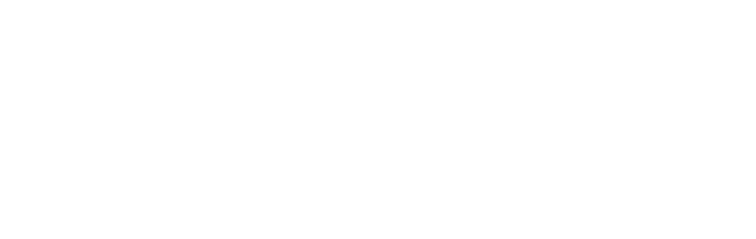 REX BIRK
