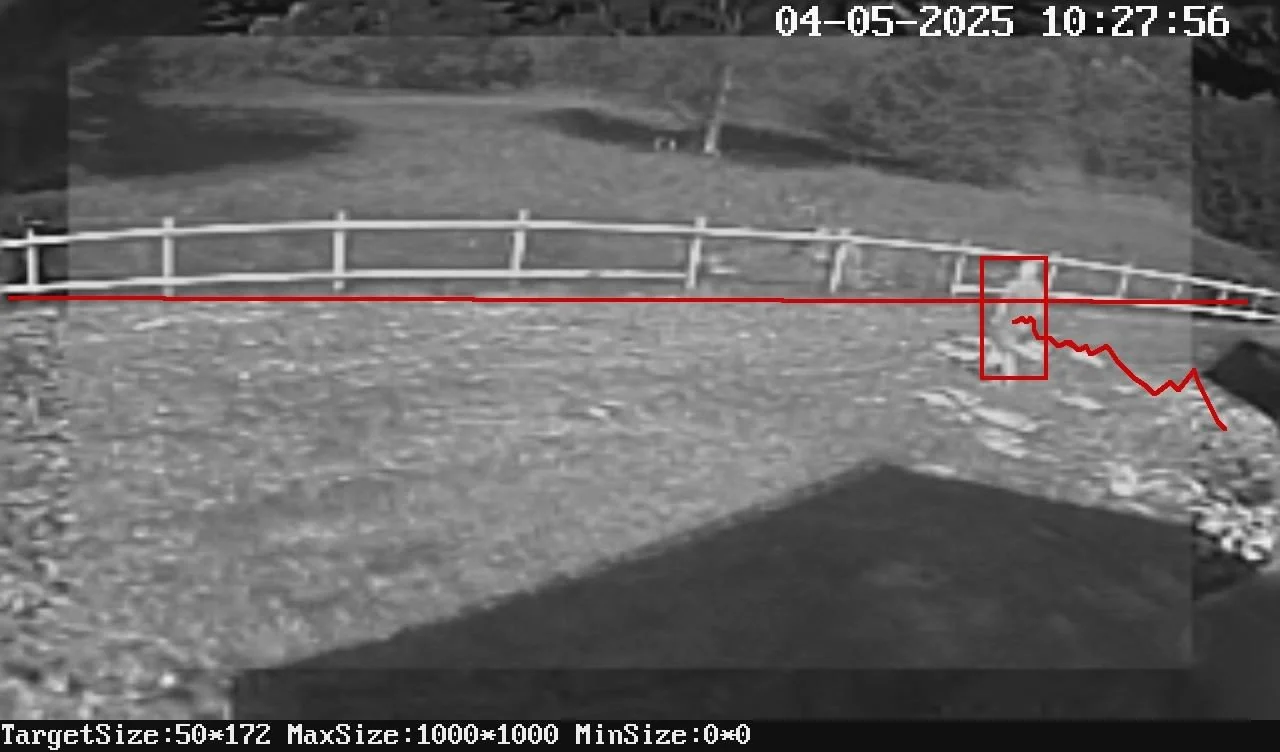 thermal perimeter detection.jpg