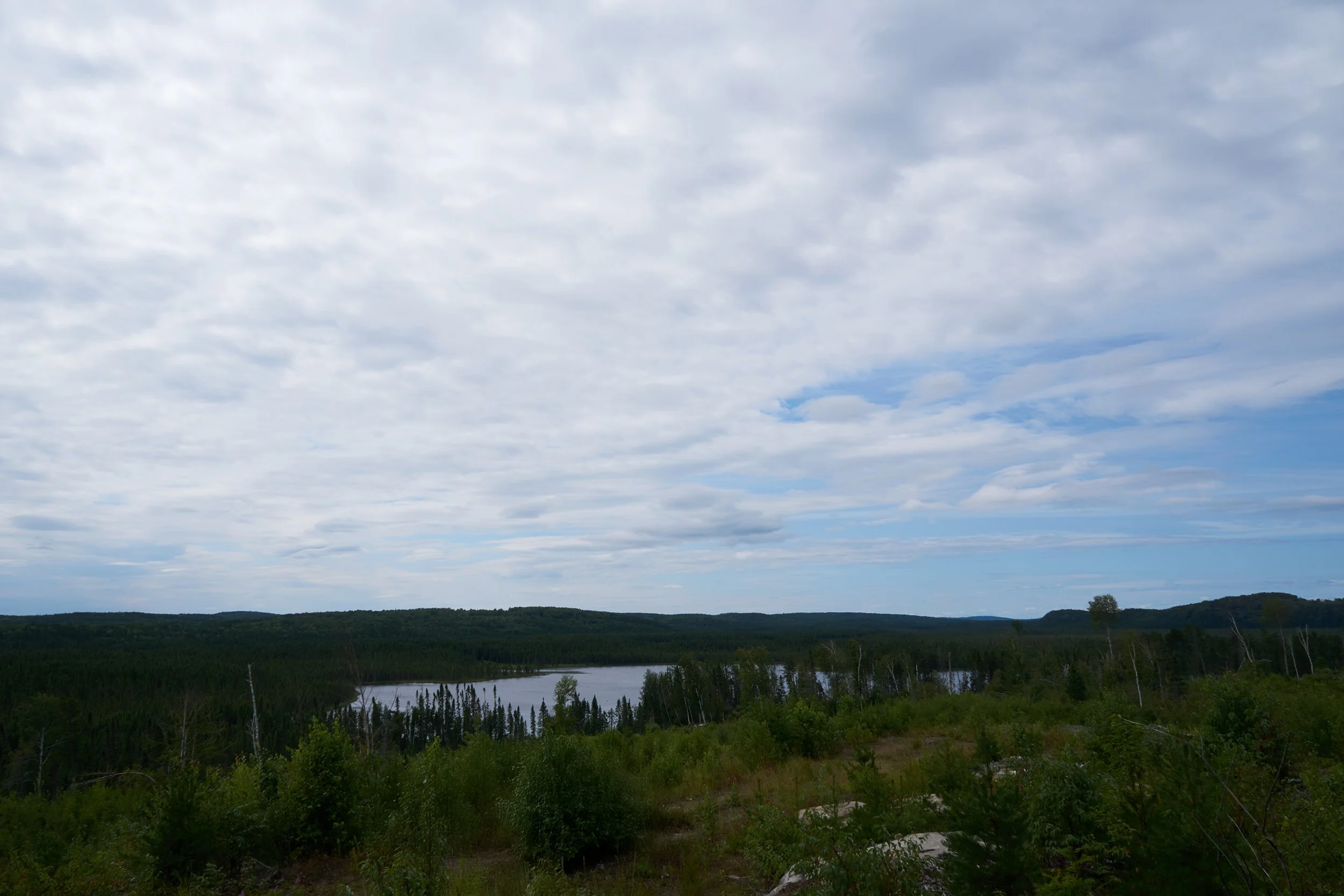 A landscape view of a lake surrounded by dense green trees under a partly cloudy sky.