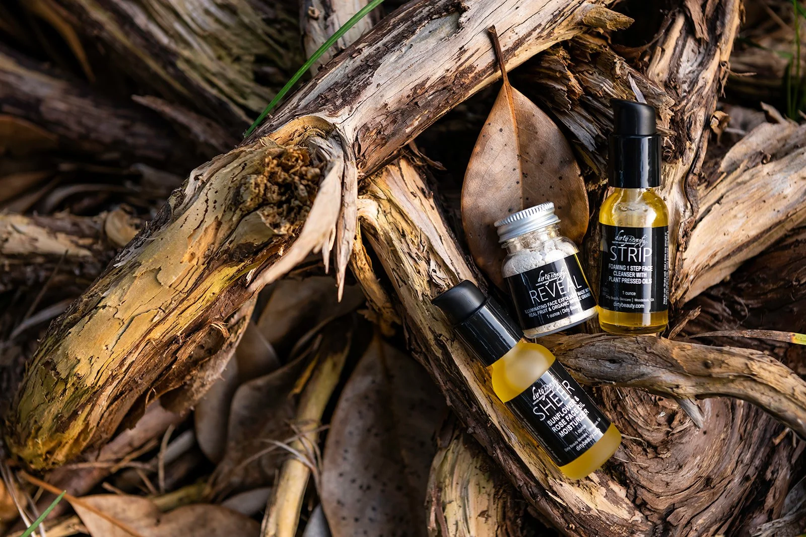 Skincare products placed on a piece of weathered driftwood surrounded by fallen leaves and natural debris.