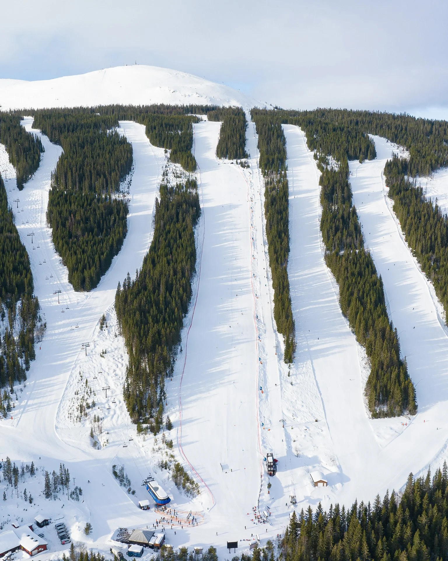 Opening Planned for Week 48