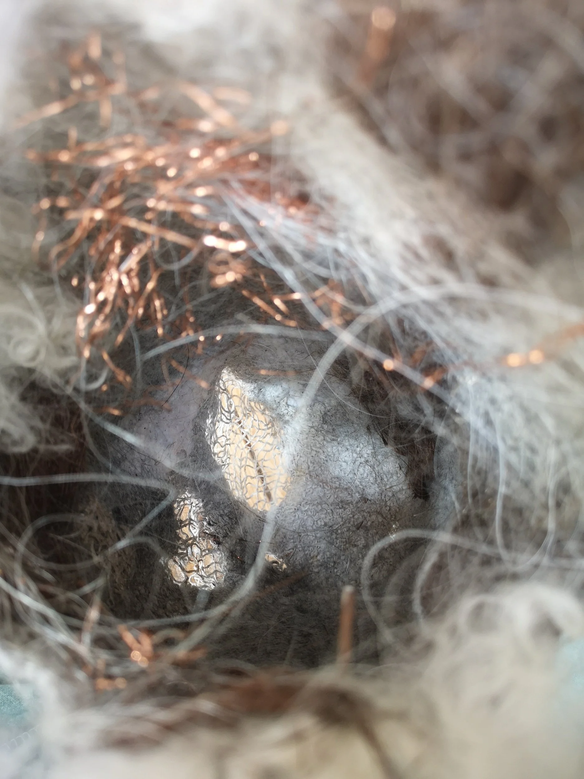 Detailaufnahme "Gewachsene Wege"