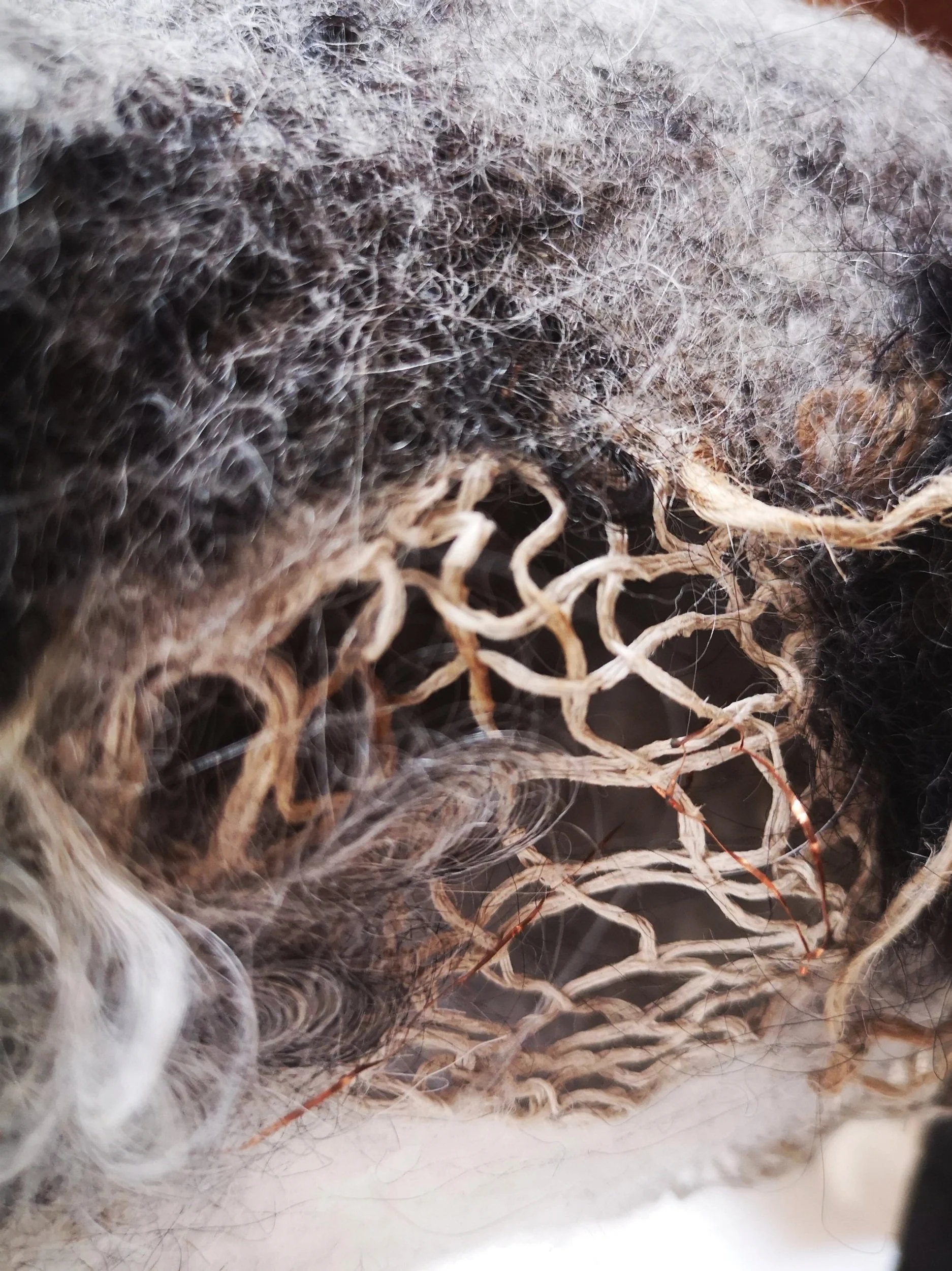 Detailaufnahme "Gewachsene Wege"