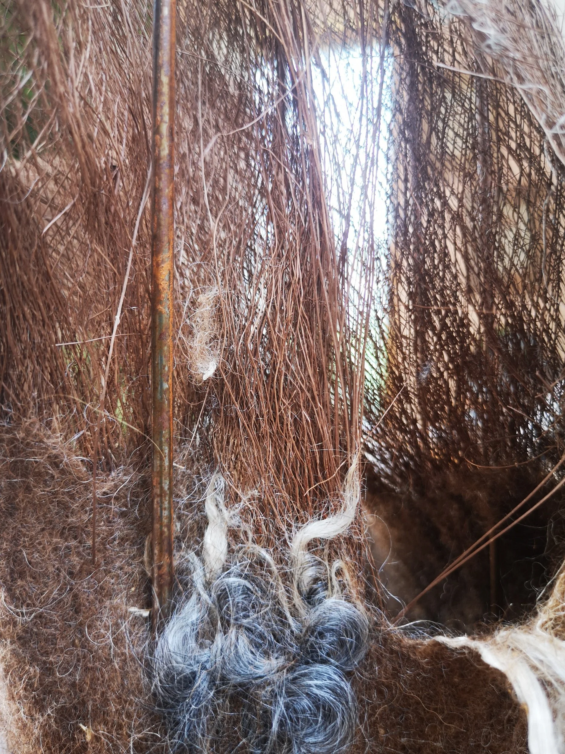 Detailaufnahme "Der Wandel"