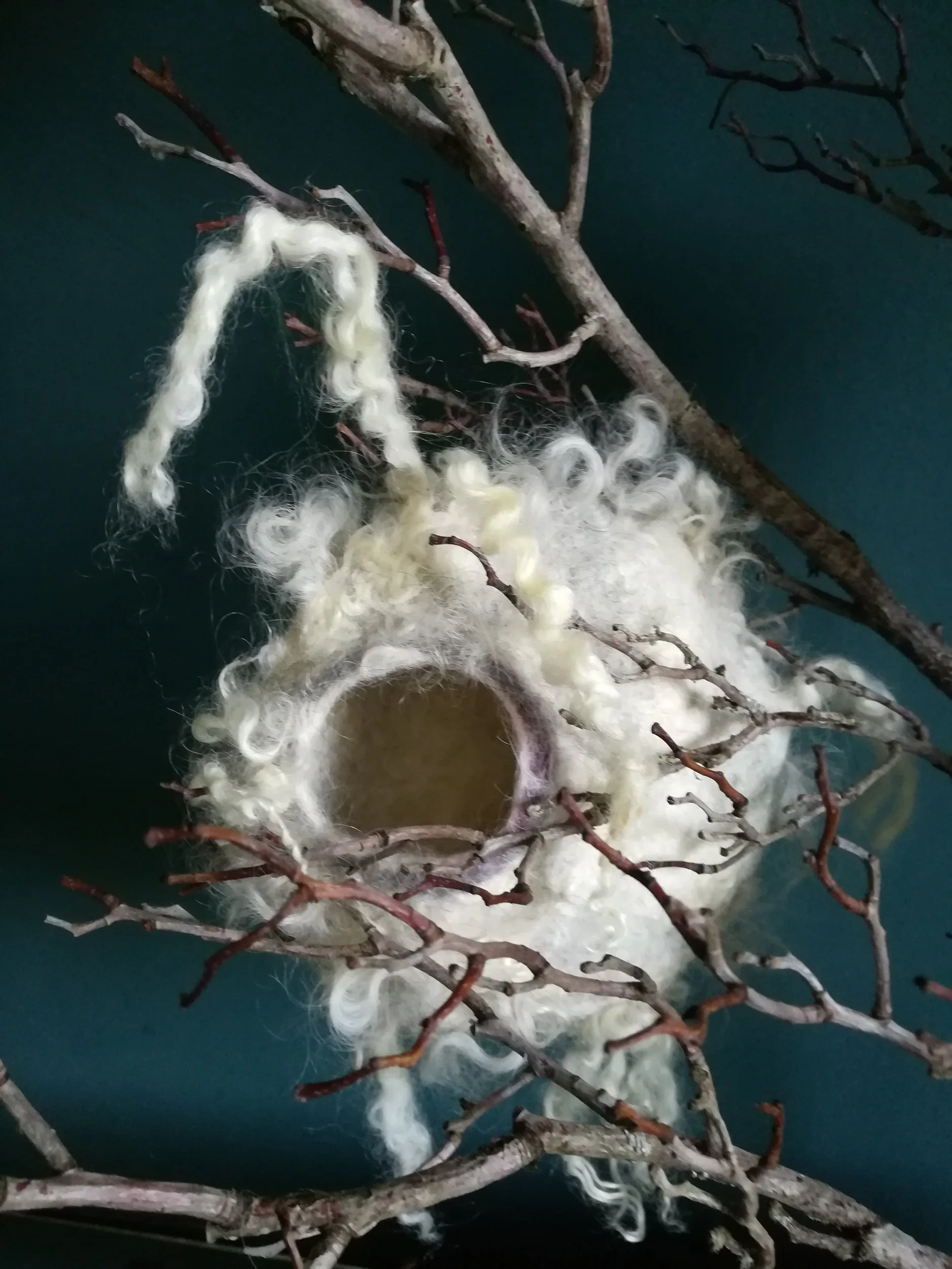 Detailaufnahme "Vielfalt der Wege"