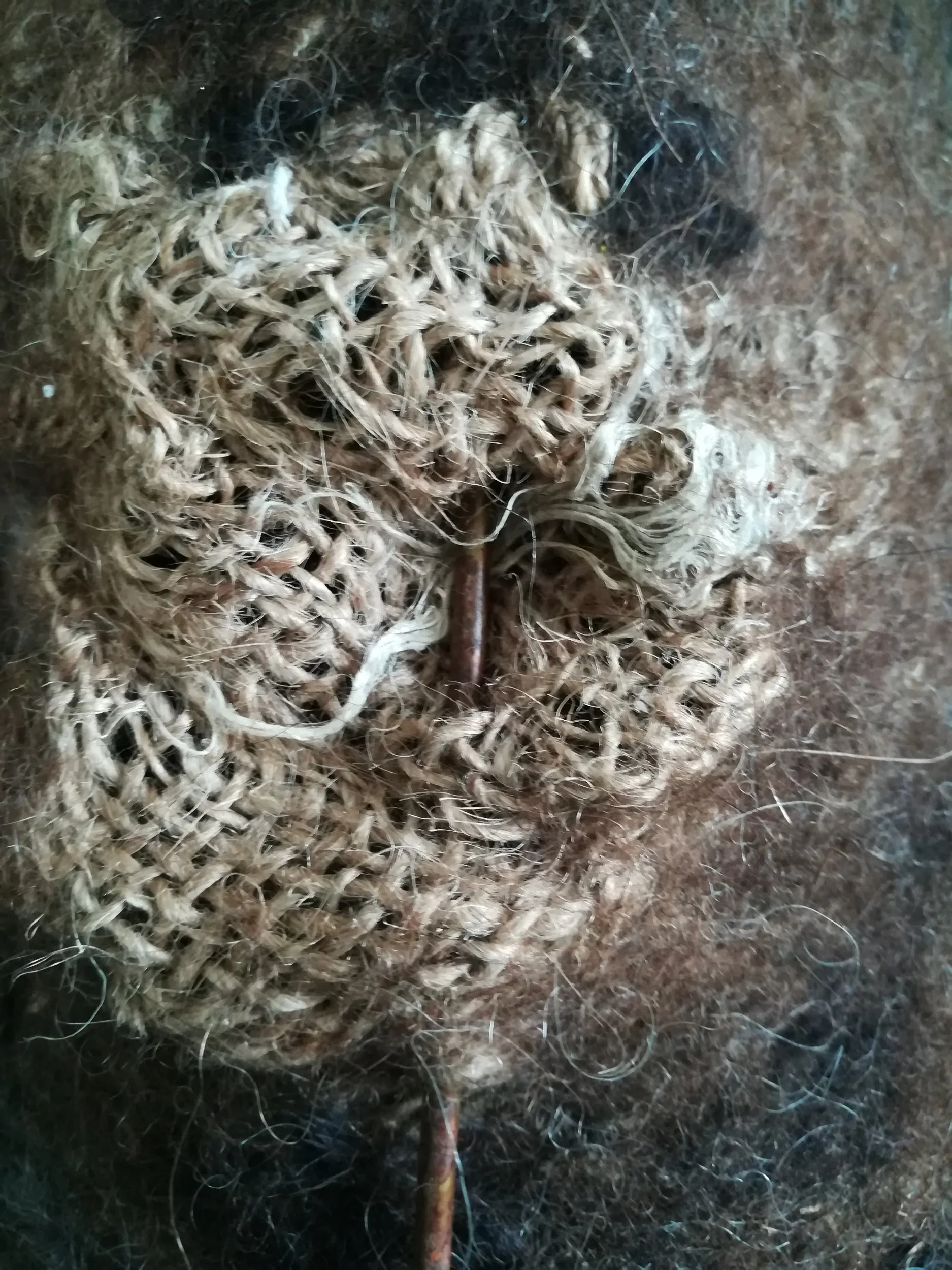 Detailaufnahme "Der Wandel"