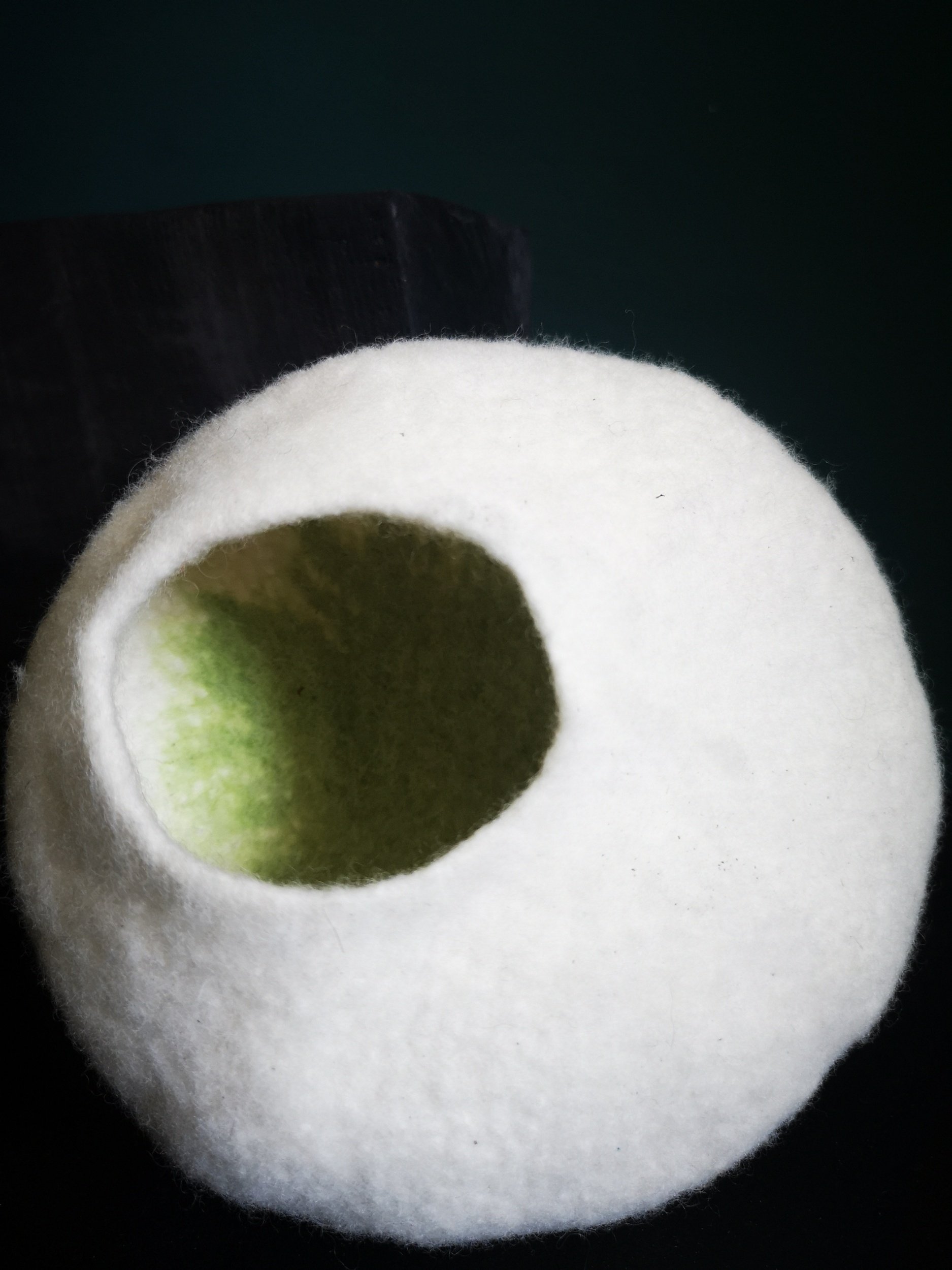 Detailaufnahme "Pfade des Lebens"