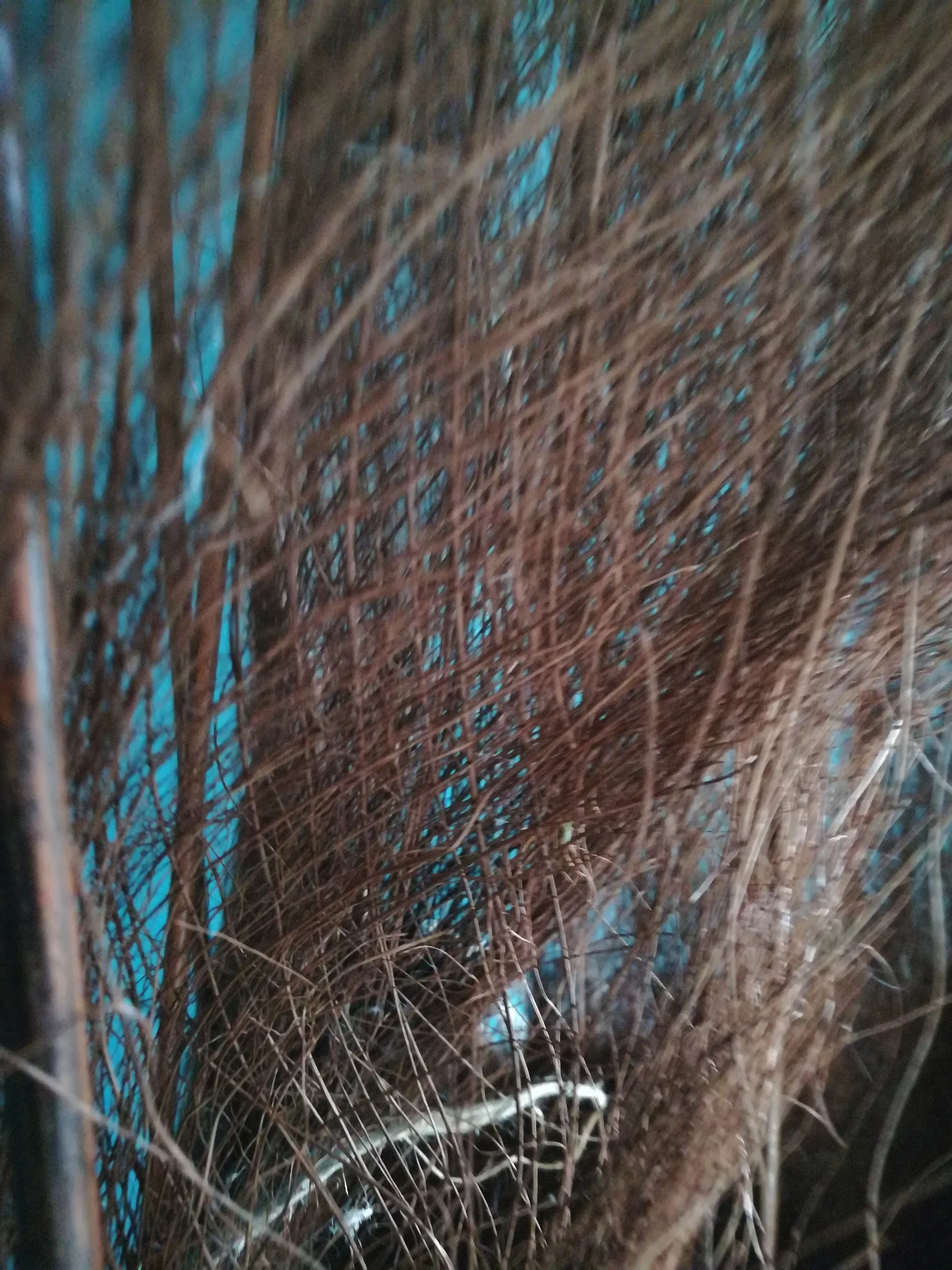 Detailaufnahme "Der Wandel"