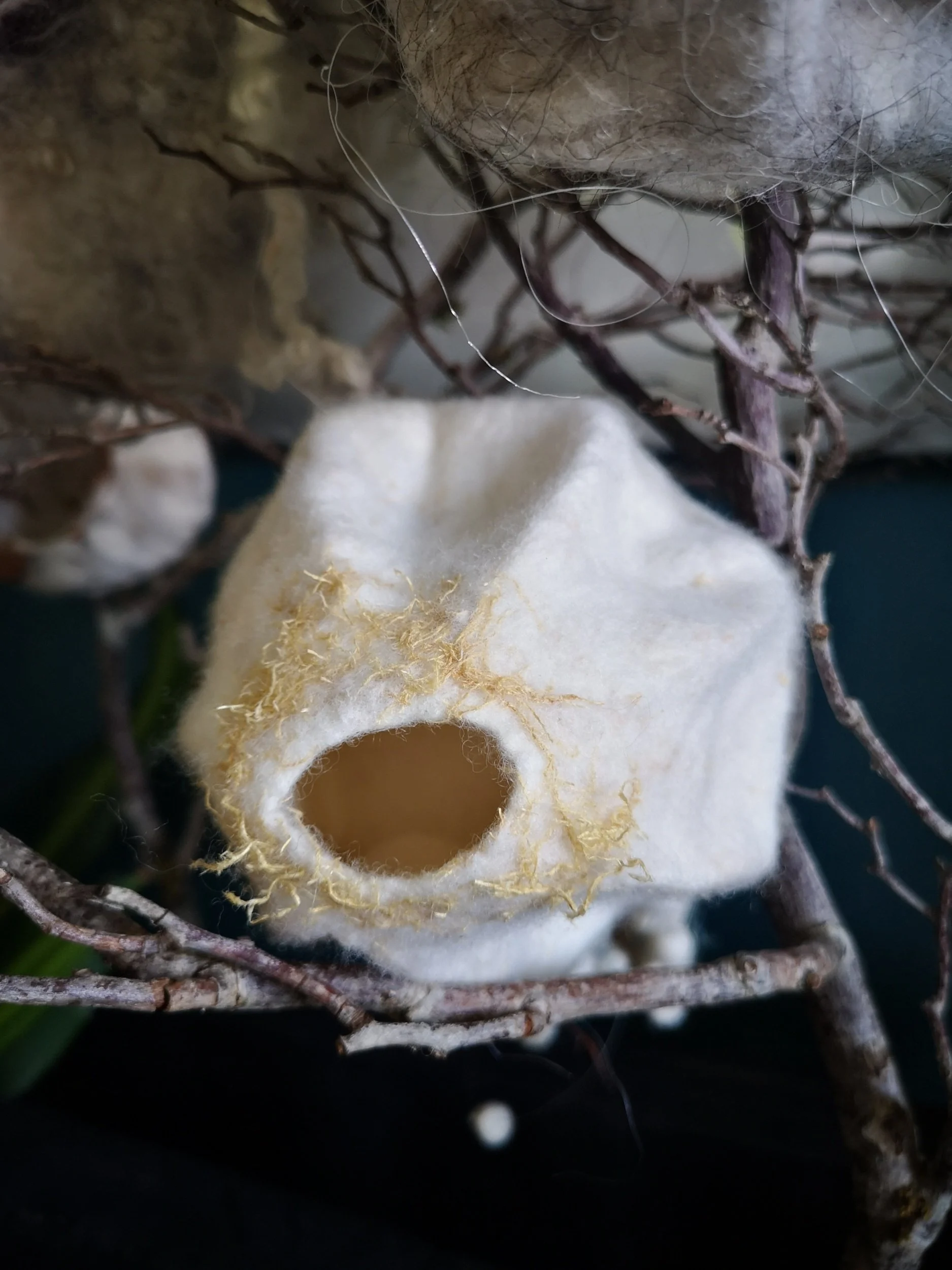 Detailaufnahme "Vielfalt der Wege"