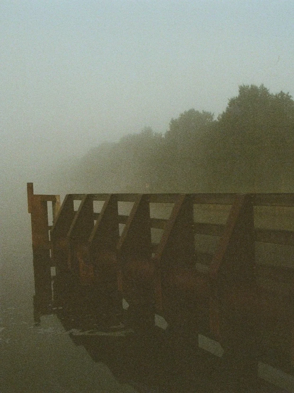 Un pont en bois enveloppé de brouillard, avec des arbres verts en arrière-plan.