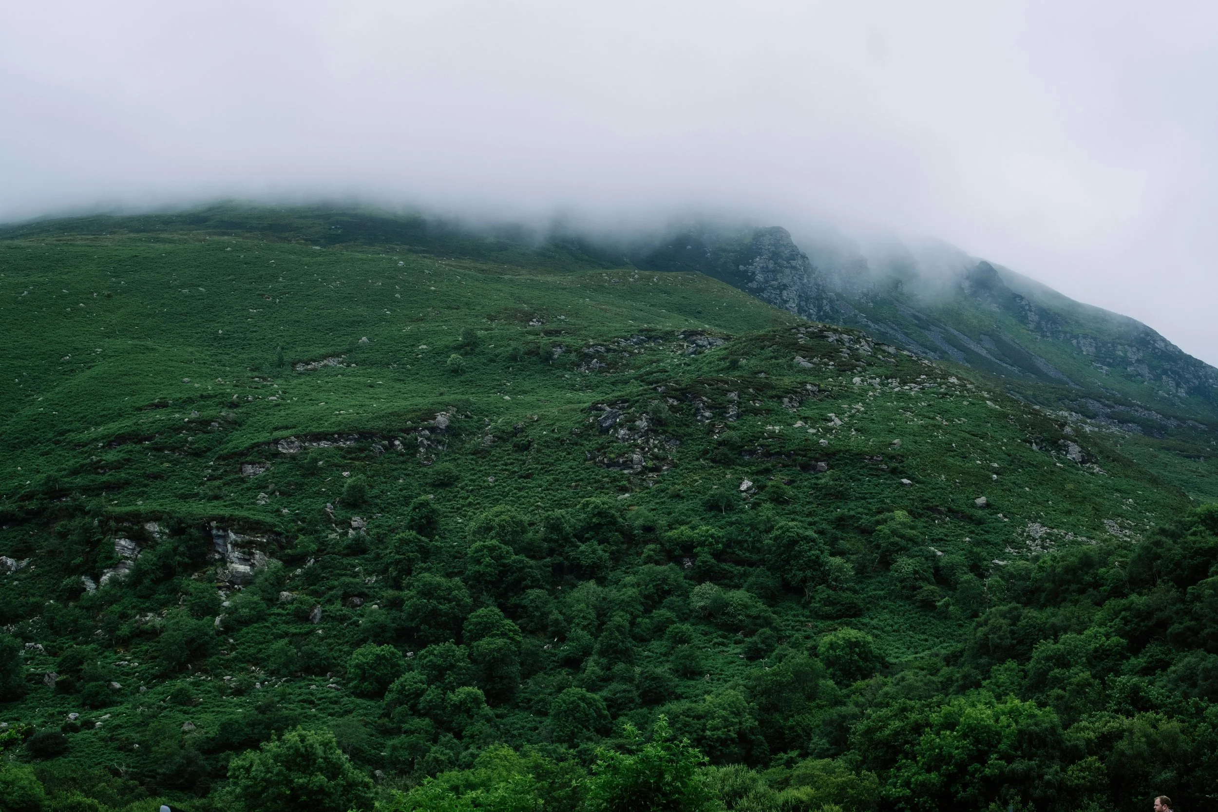 Montagne verdoyante couverte de brouillard. Isabelle Grech, artiste peintre française, contemporaine.