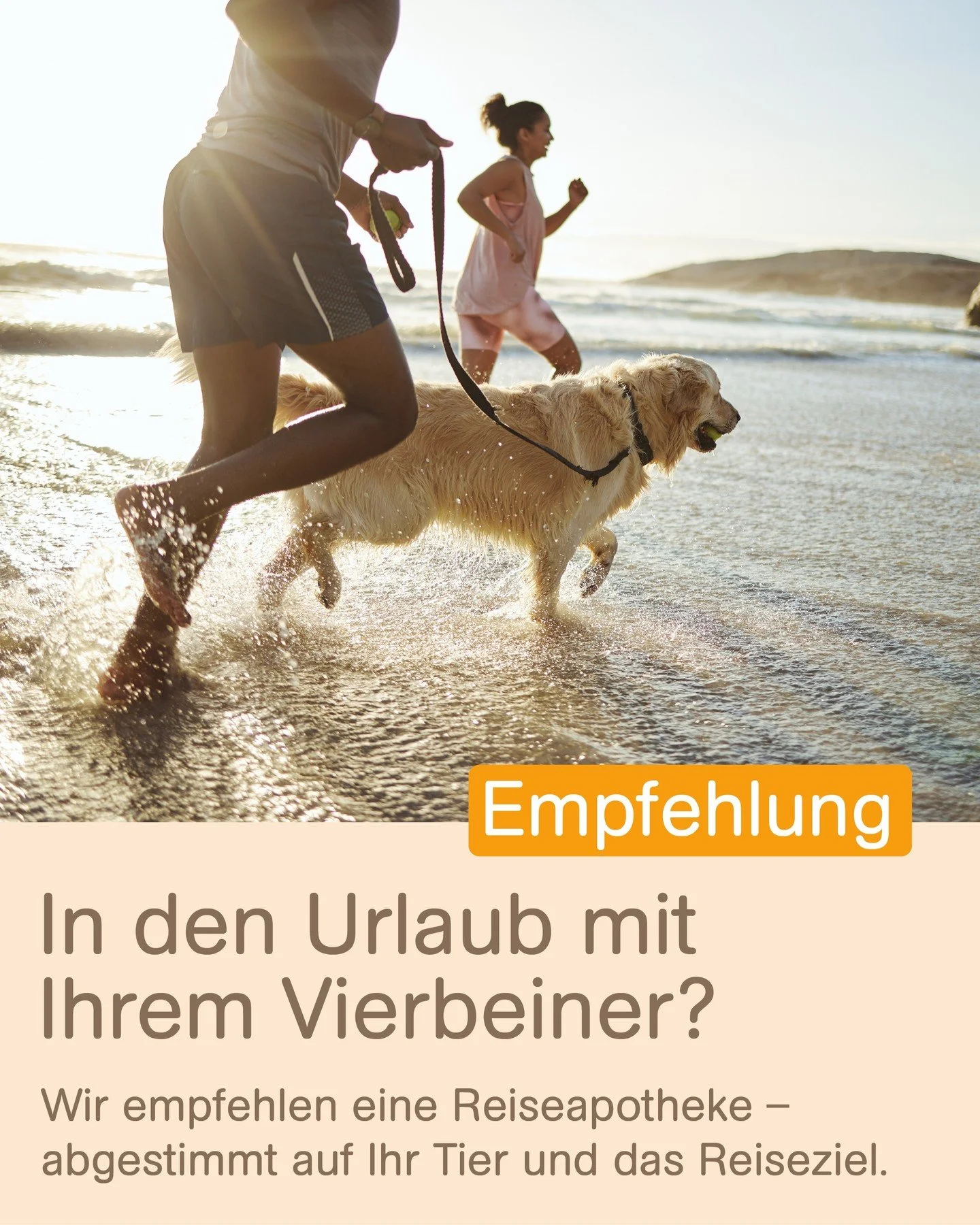 Urlaub mit Ihrem Vierbeiner geplant?

Dann empfehlen wir Ihnen eine passende Reiseapotheke f&uuml;r Ihr Tier.
Unterwegs kann es schnell zu kleineren Verletzungen kommen, wie zum Beispiel Schnittwunden an den Pfoten. Besonders Hunde reagieren zudem em