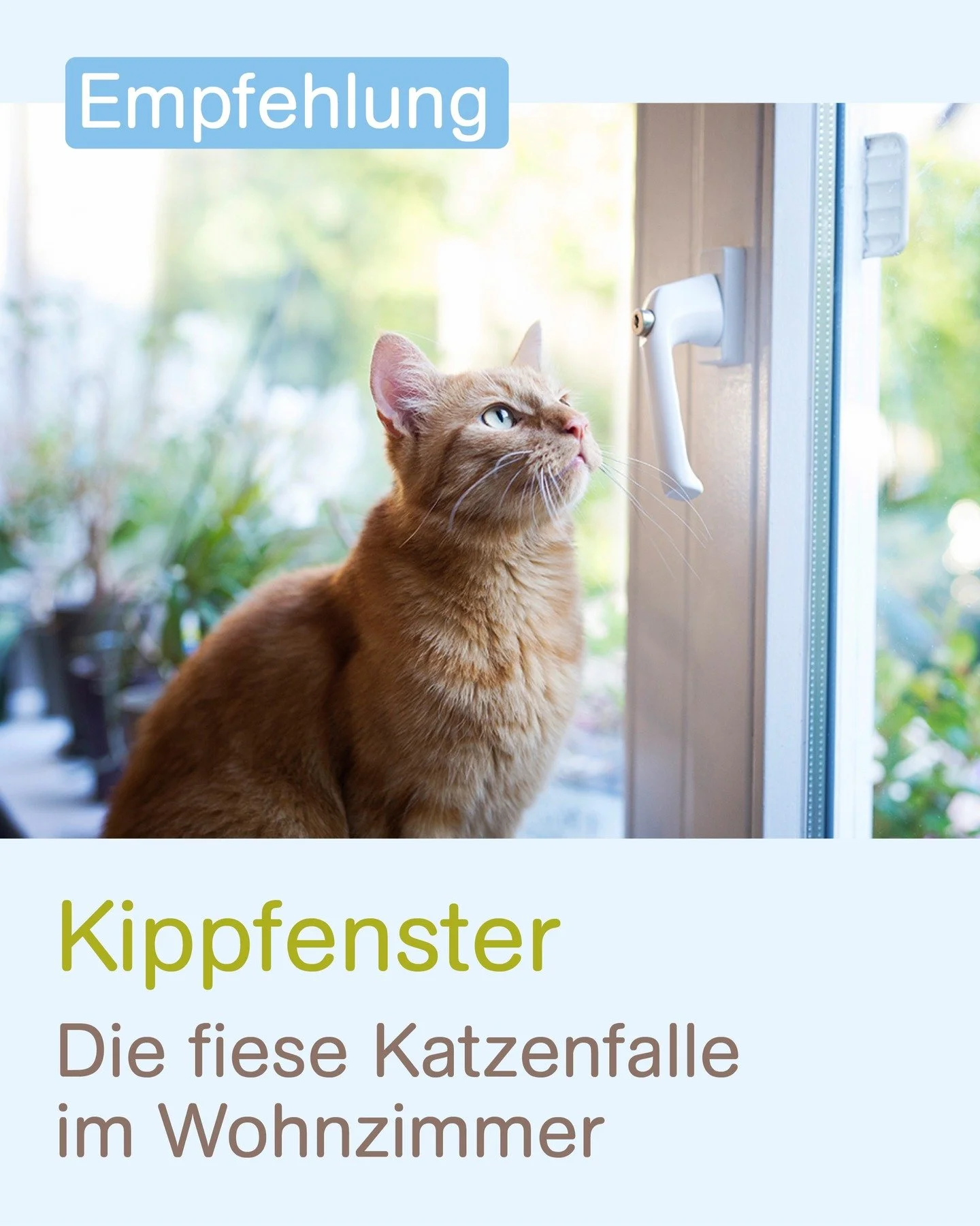 Wussten Sie, dass gekippte Fenster f&uuml;r Katzen lebensgef&auml;hrlich sein k&ouml;nnen?

Katzen sind neugierig, elegant und manchmal leider zu mutig f&uuml;r ihr eigenes Wohl. Ein gekipptes Fenster sieht f&uuml;r sie wie das Tor zur gro&szlig;en w
