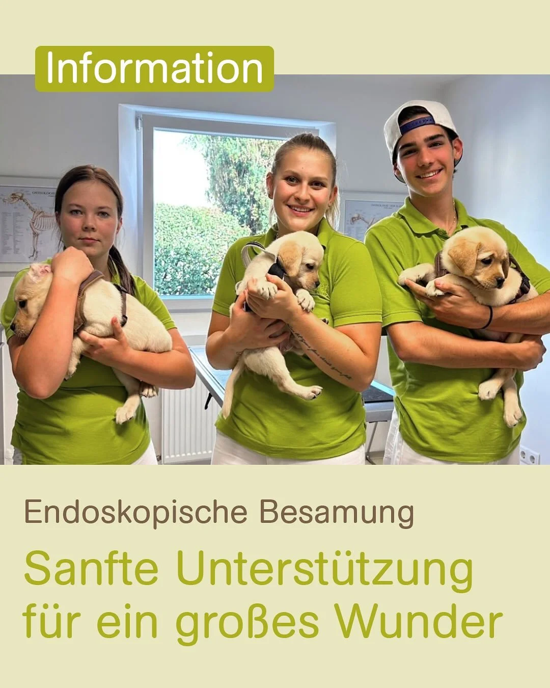 Wir freuen uns sehr &uuml;ber eine weitere erfolgreiche endoskopische Besamung in unserer Praxis! 🎉
 
Diese Methode hat viele Vorteile: Sie macht Zuchtplanung einfacher, erm&ouml;glicht den Einsatz von Samen auch &uuml;ber gr&ouml;&szlig;ere Entfer