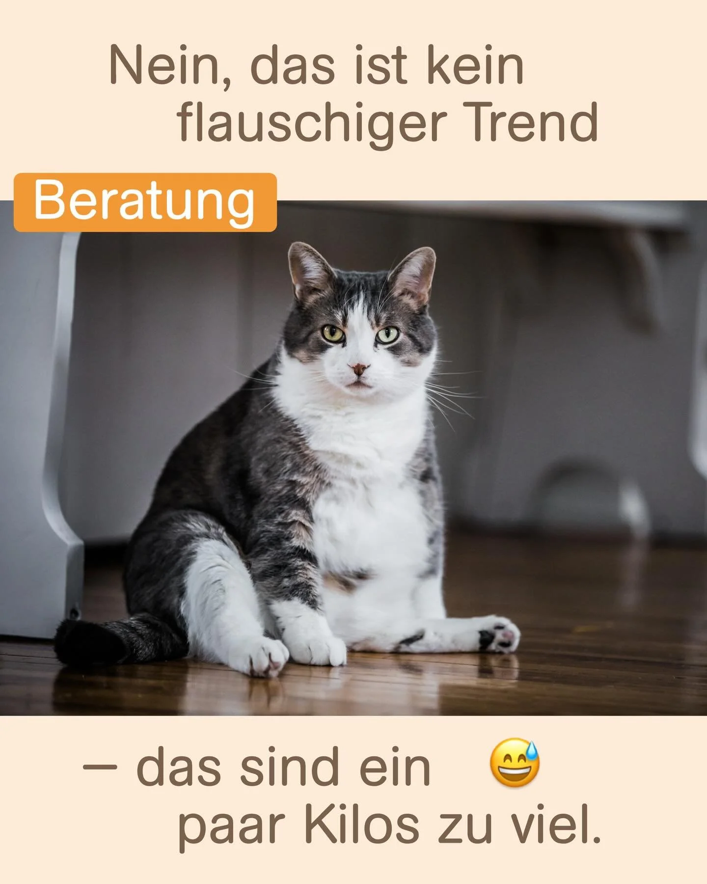 So s&uuml;&szlig; Speckr&ouml;llchen auch sind: Auch Tiere f&uuml;hlen sich ohne sie einfach wohler.
Mehr Bewegung, weniger Leckerli 
= mehr Lebensfreude 😺🐶✨

&Uuml;bergewicht ist n&auml;mlich nicht nur ein Menschenthema. Auch f&uuml;r unsere Ha