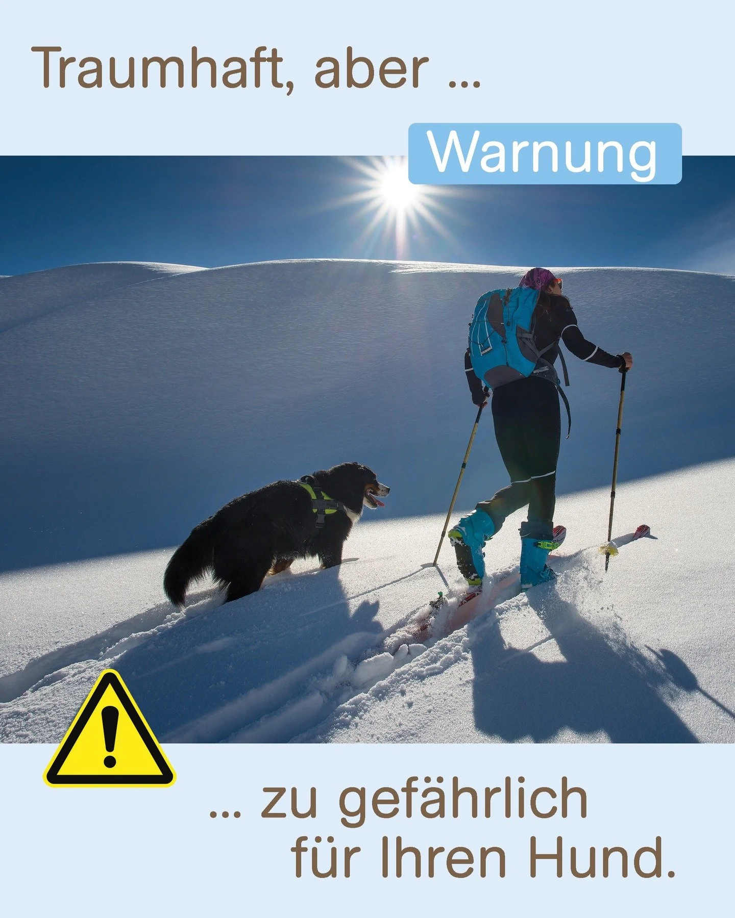 Skitouren mit Hund &ndash; bitte denken sie an dessen Sicherheit! ❄️🐶

So wundersch&ouml;n Skitouren auch sind: F&uuml;r Hunde bergen sie enorme Gefahren. Leider zeigt sich das aktuell ganz deutlich in den Tierarztpraxen.

Momentan m&uuml;ssen wir g