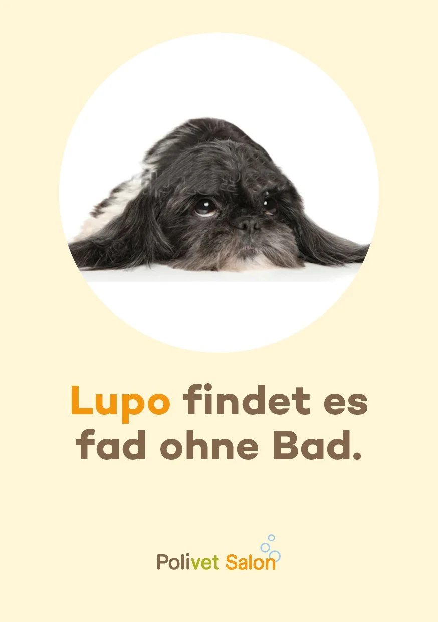Frühjahrs Kampagne Polivet-Salon web12.jpg