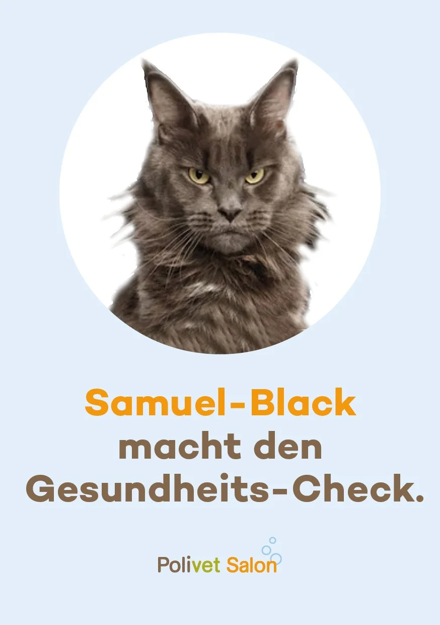 Frühjahrs Kampagne Polivet-Salon web5.jpg