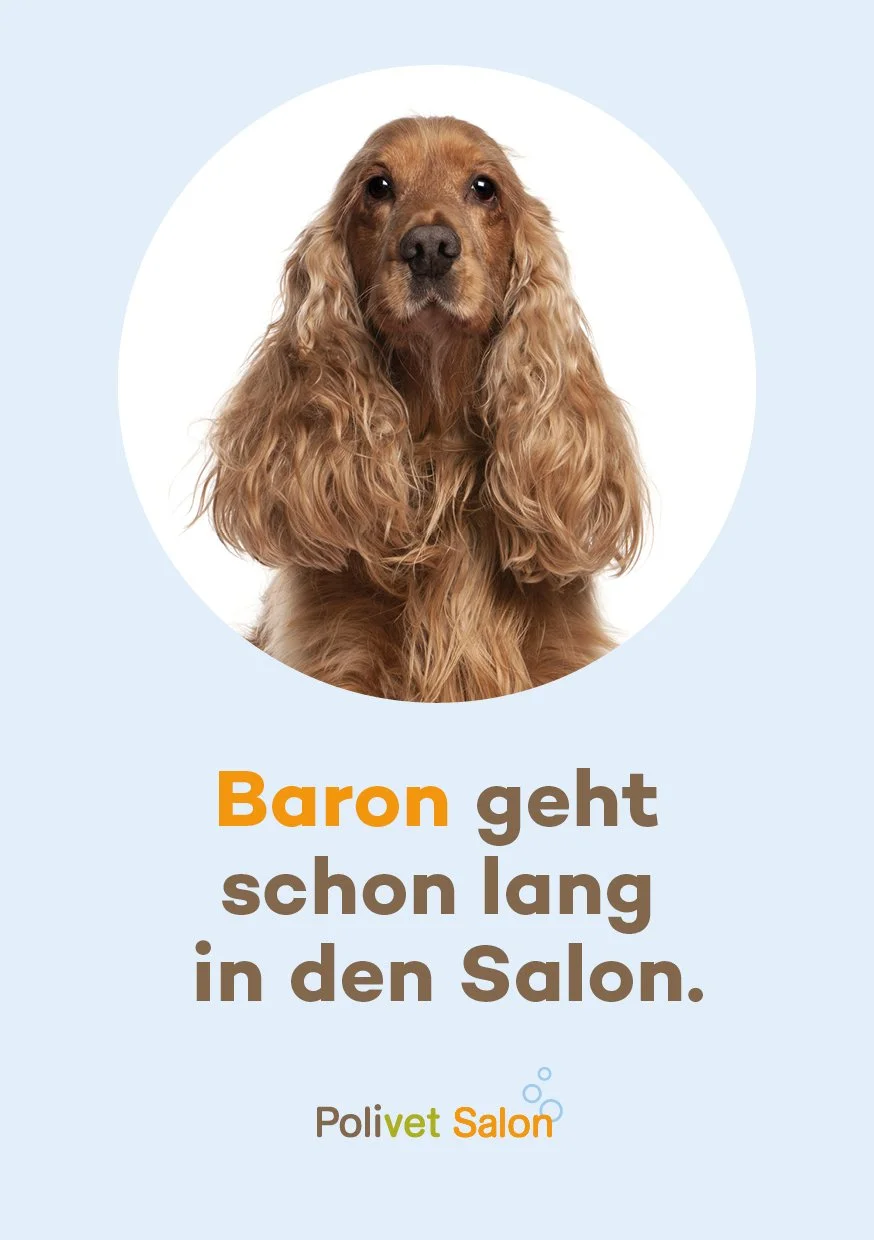 Frühjahrs Kampagne Polivet-Salon web.jpg