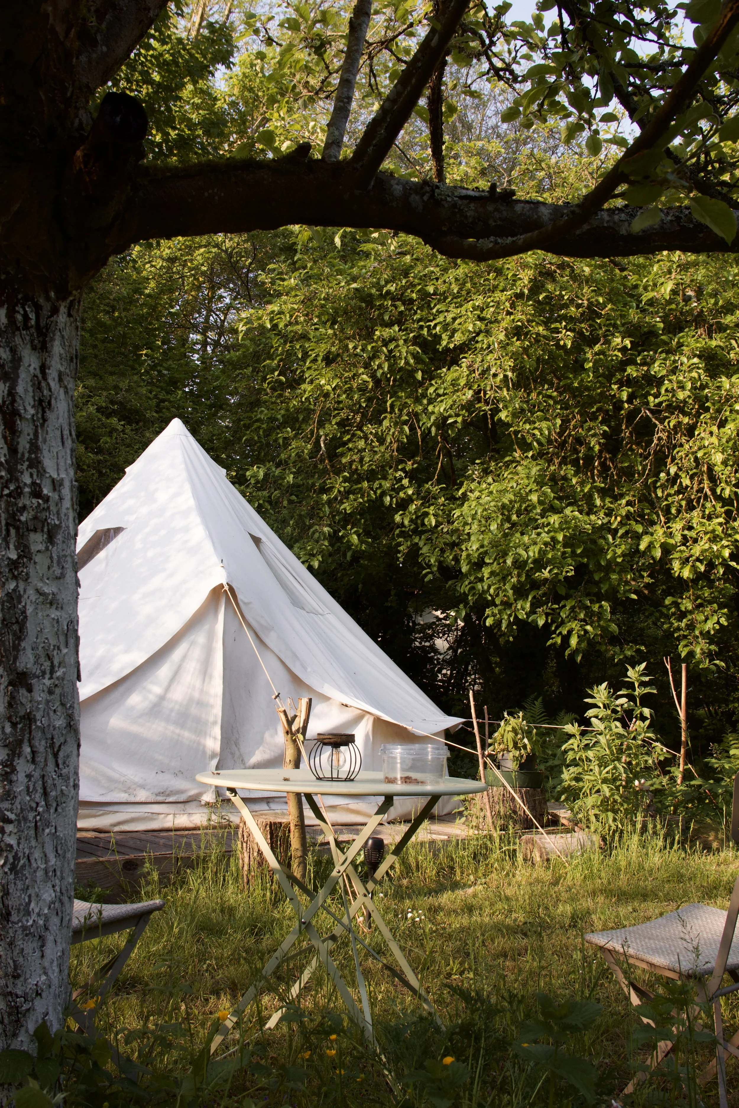 CAMP ROBINSON#Dรฉconnecte, dรฉtend et reviens ร ce qui compte.