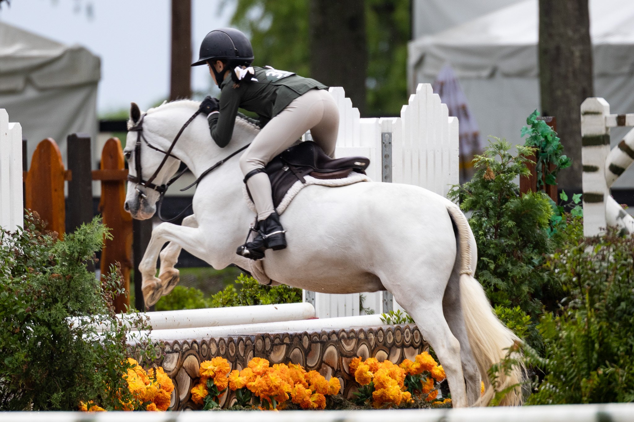 A rider in riding gear on a white horse jumping over an obstacle during a show jumping competition, with decorated flowers and a white fence in the background.