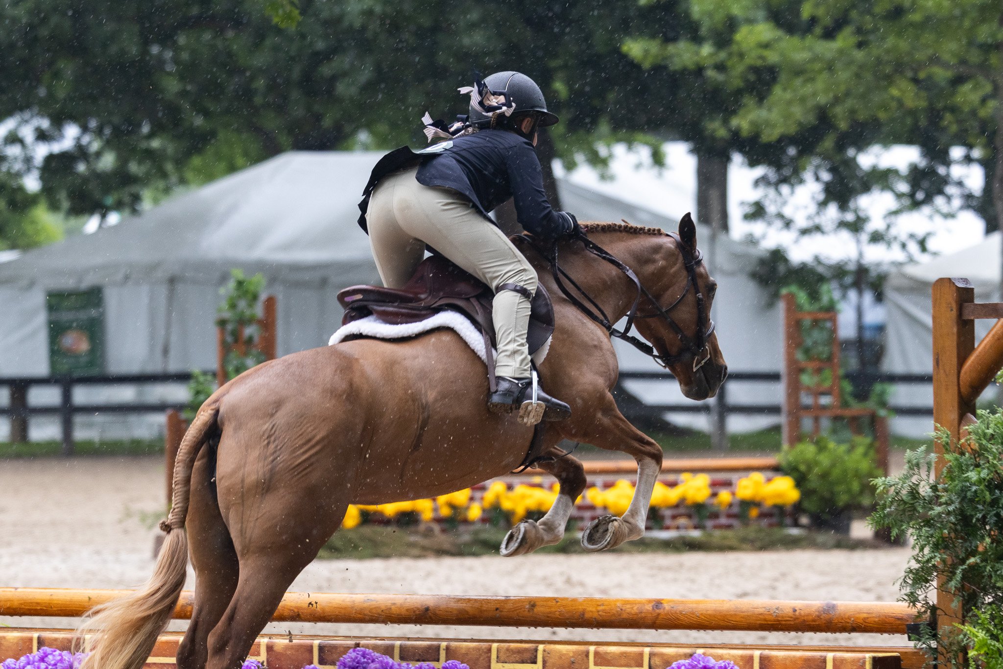 A rider in riding attire, including a helmet, is jumping over an obstacle on a chestnut horse during a rainy equestrian event, with tents and greenery in the background.