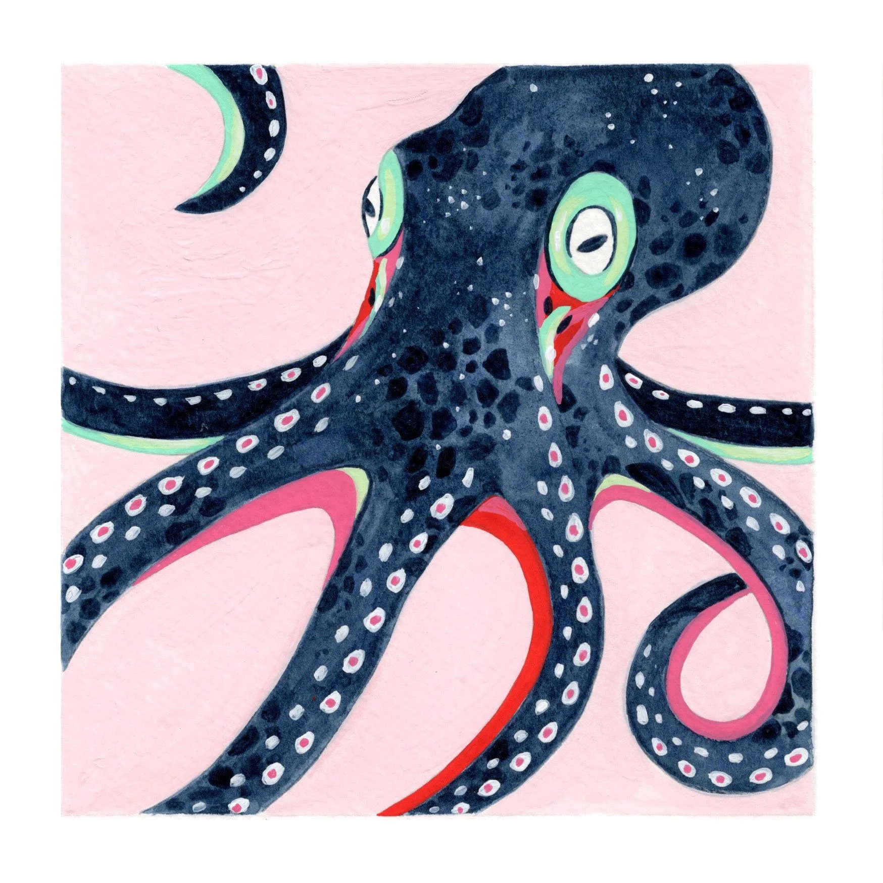 Octopus 2.jpg