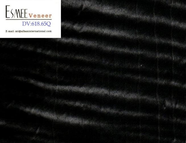 DV24.png