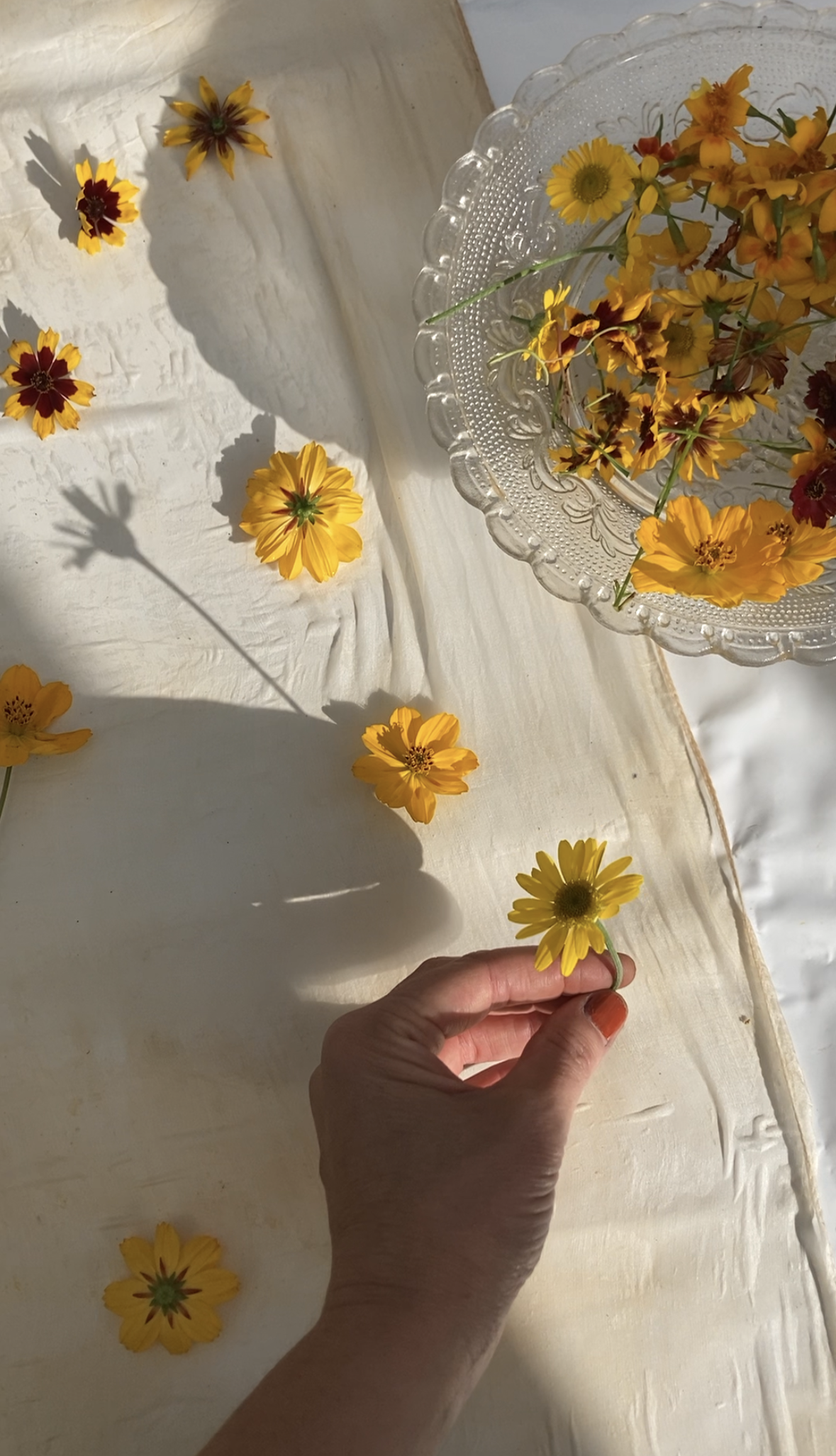 Visa senaste bilder 6.png