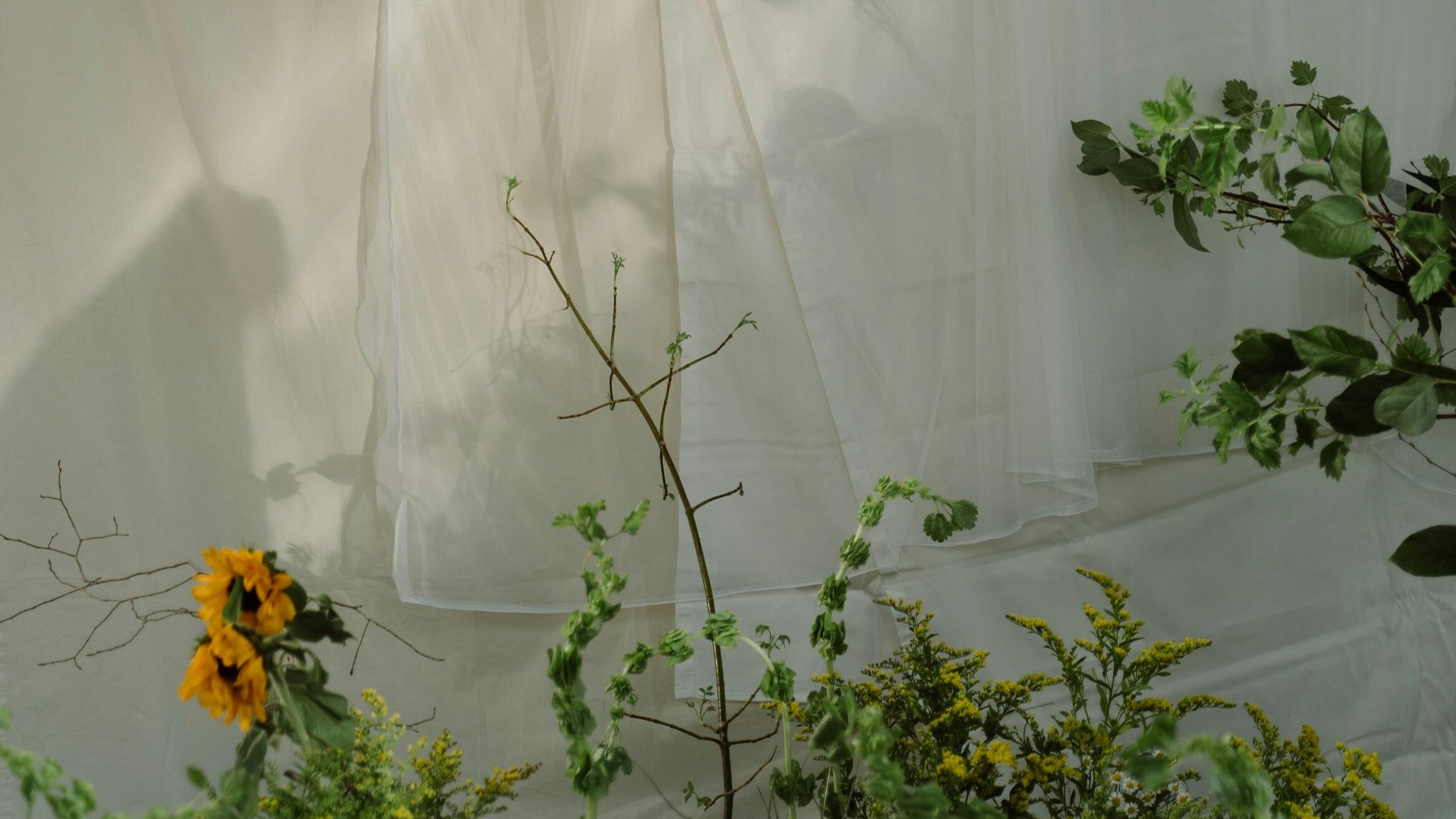 Workshop: Grunden till hållbar växtfärgning