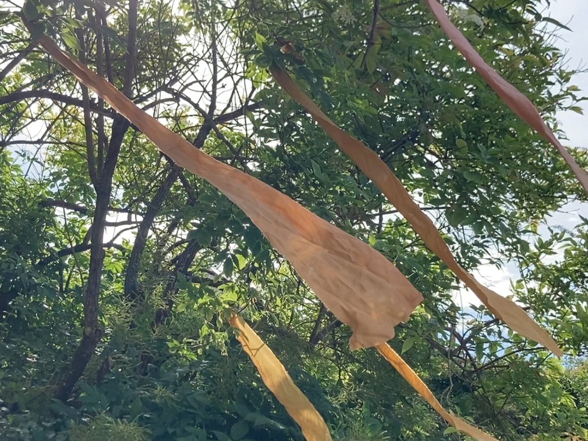 Drop-in: Växtfärga eget sidenband