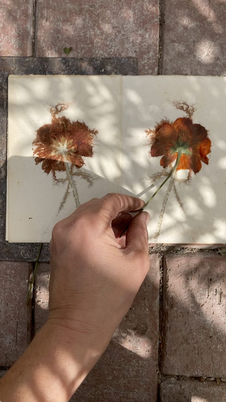 Skapa blomstertryck på papper