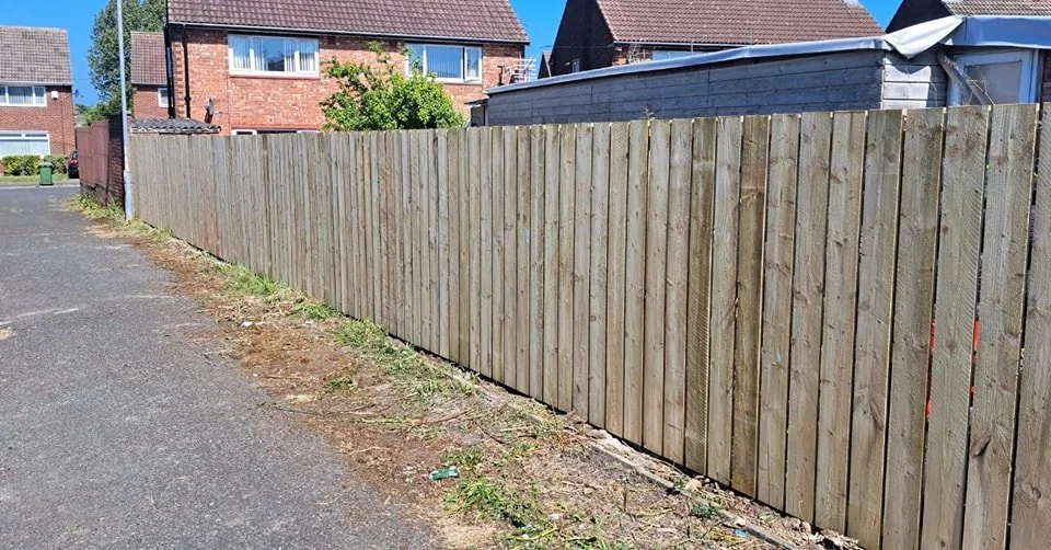 fence14.jpg