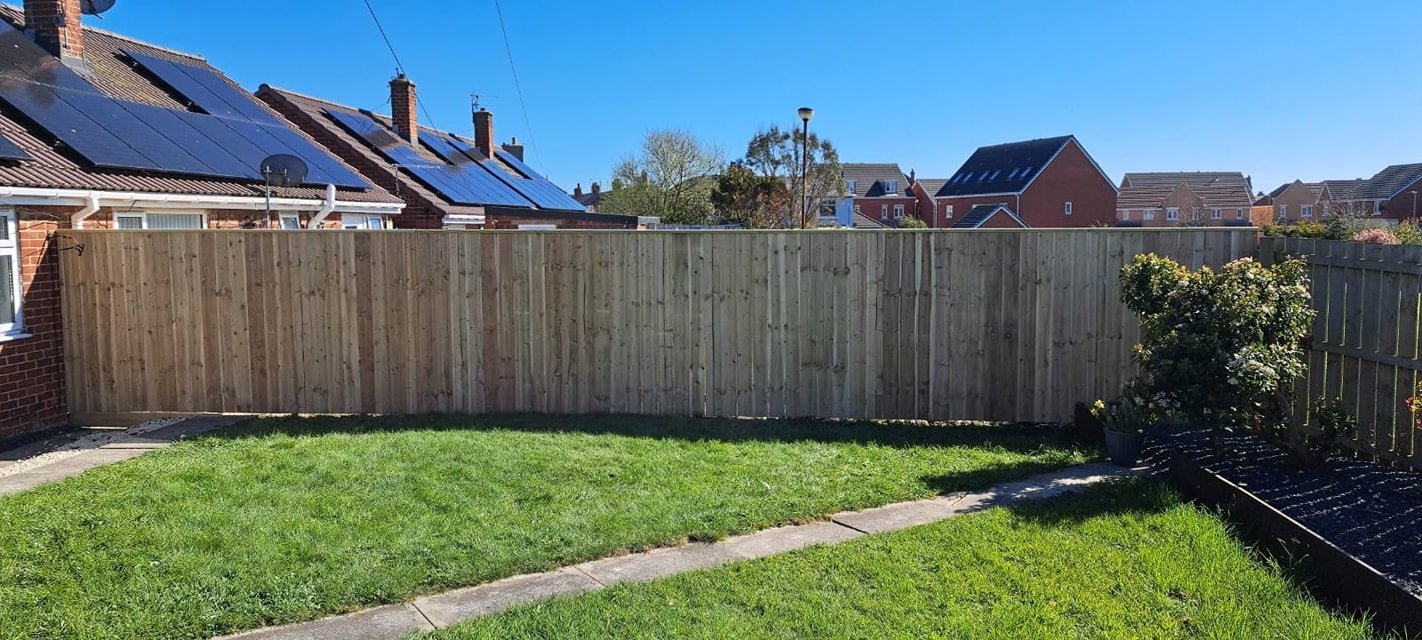 fence 3.jpg