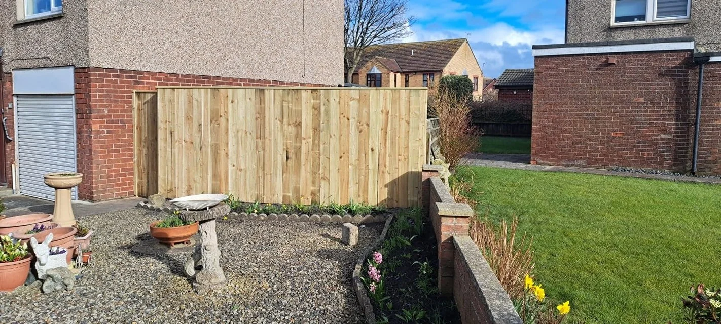 fence 1.jpg